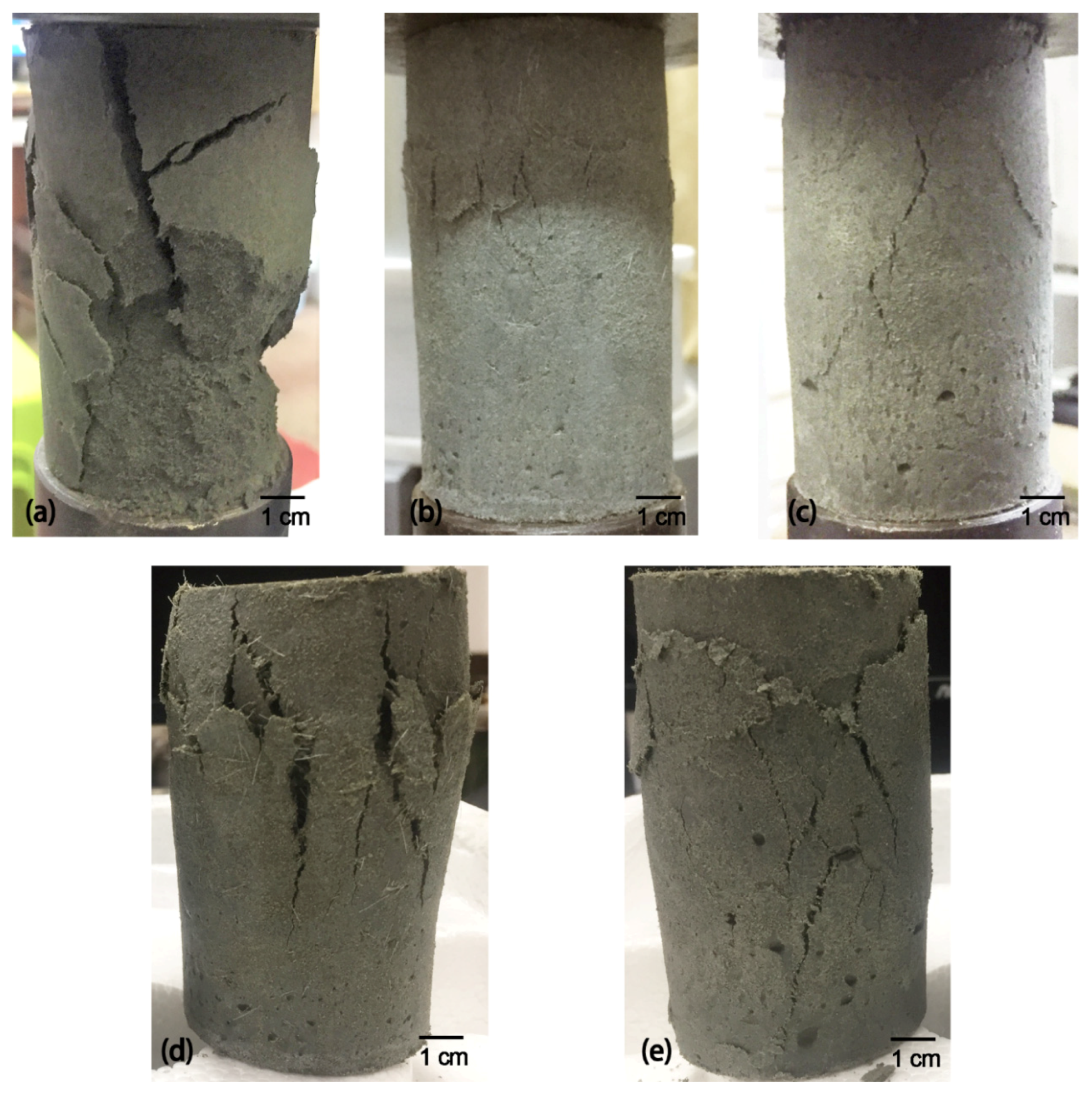 Polymers 14 00708 g016 550