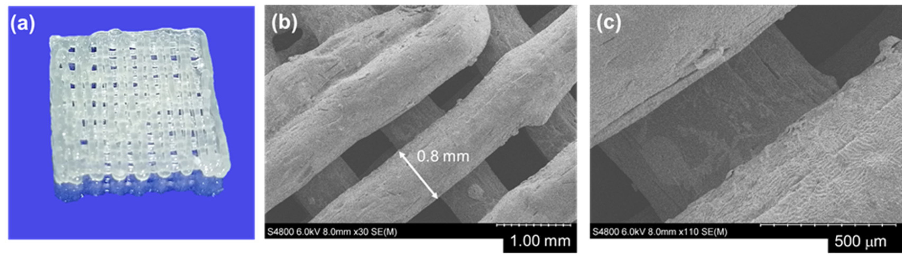 Polymers 14 00711 g004 550