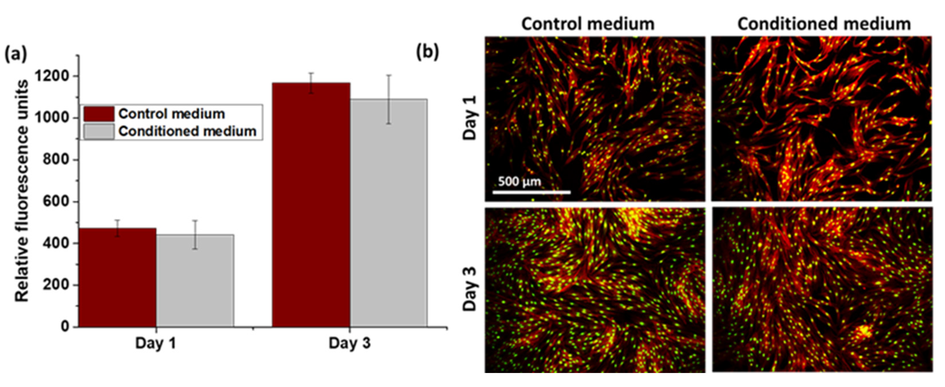 Polymers 14 00711 g005 550