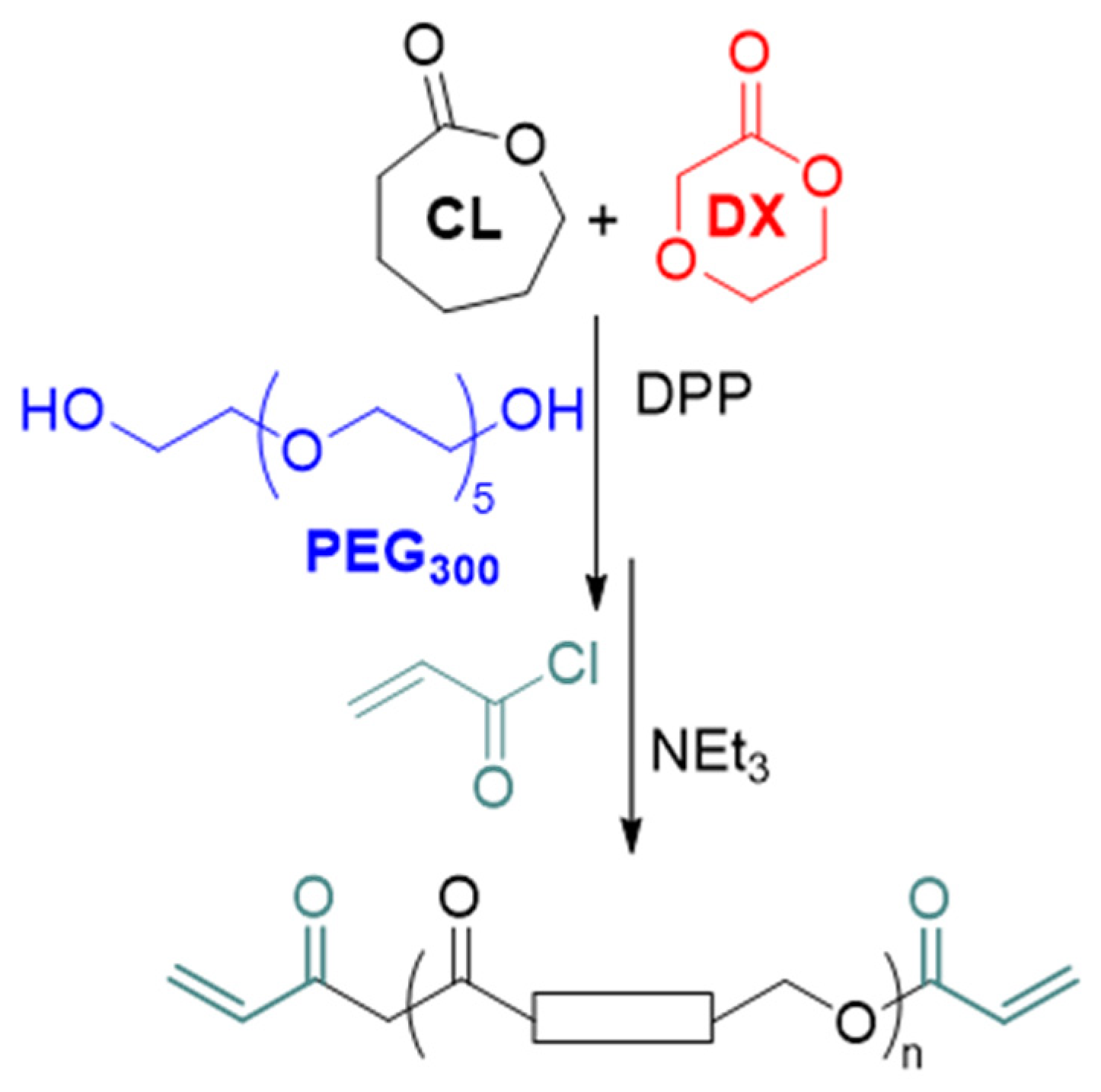Polymers 14 00711 sch001 550