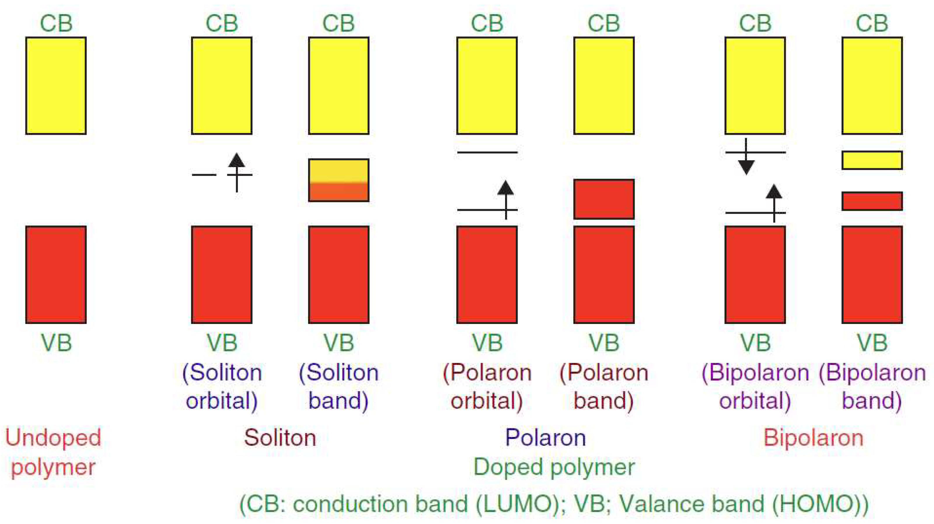 Polymers 14 00716 g001