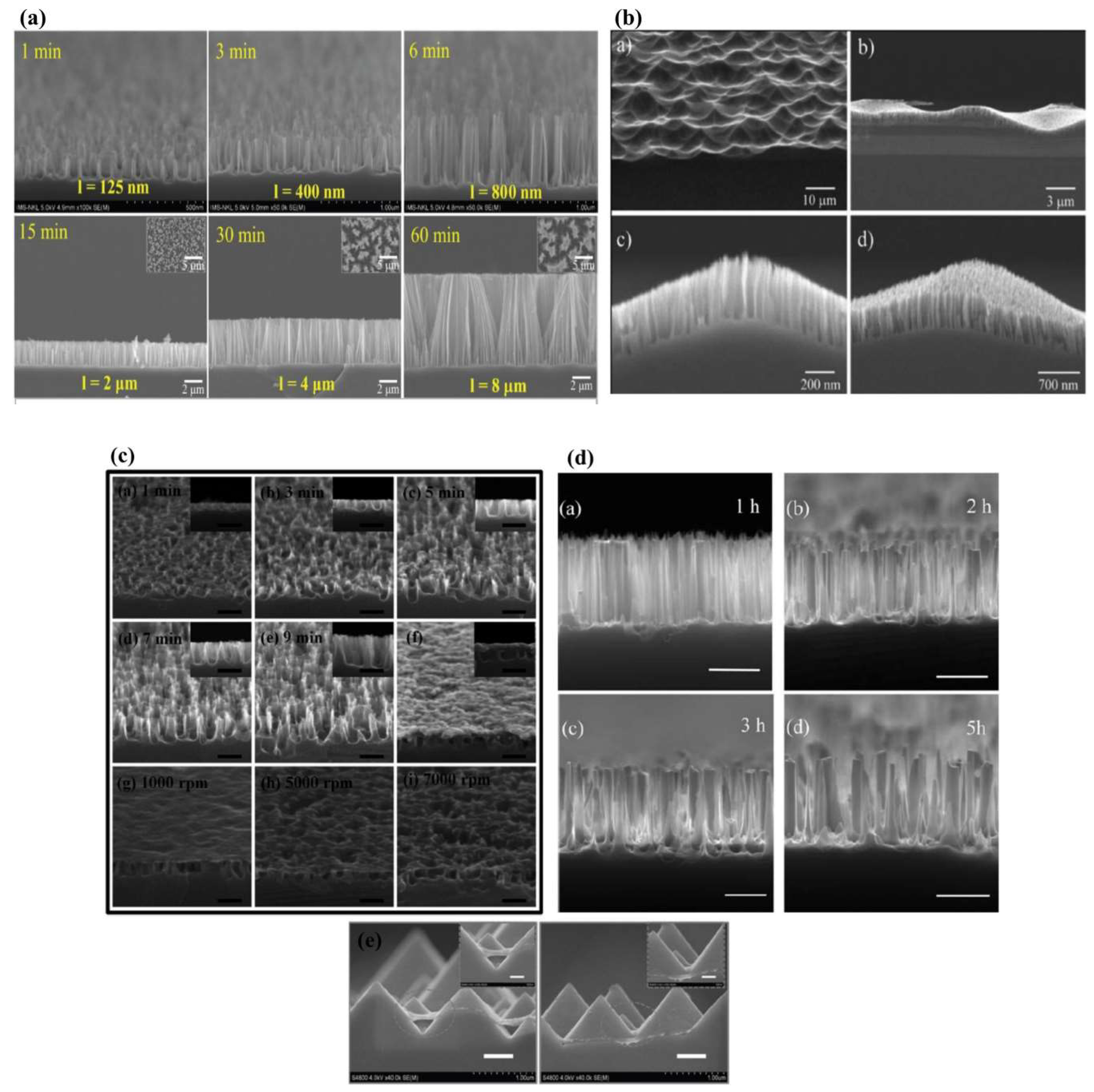 Polymers 14 00716 g005