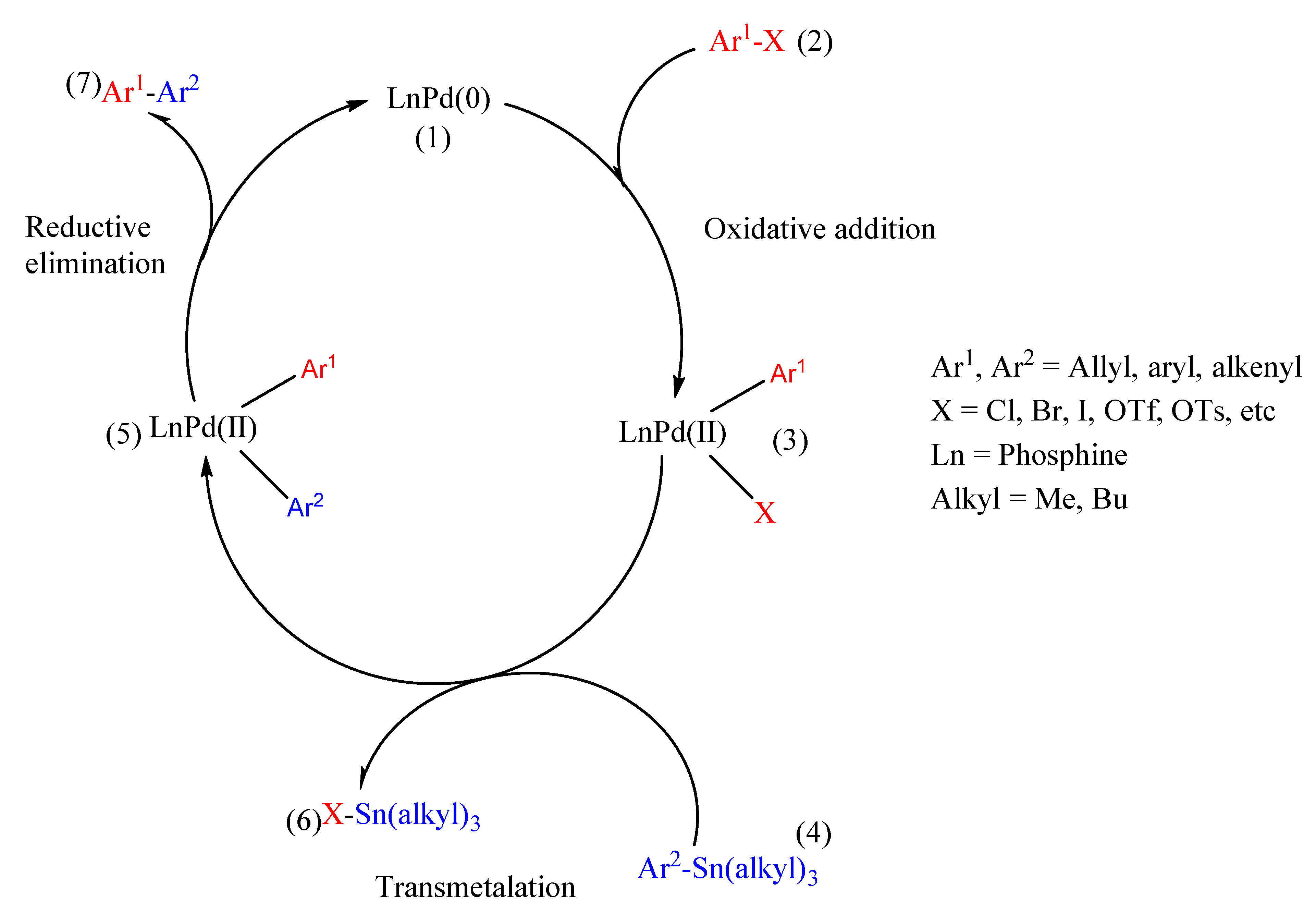 Polymers 14 00716 sch013
