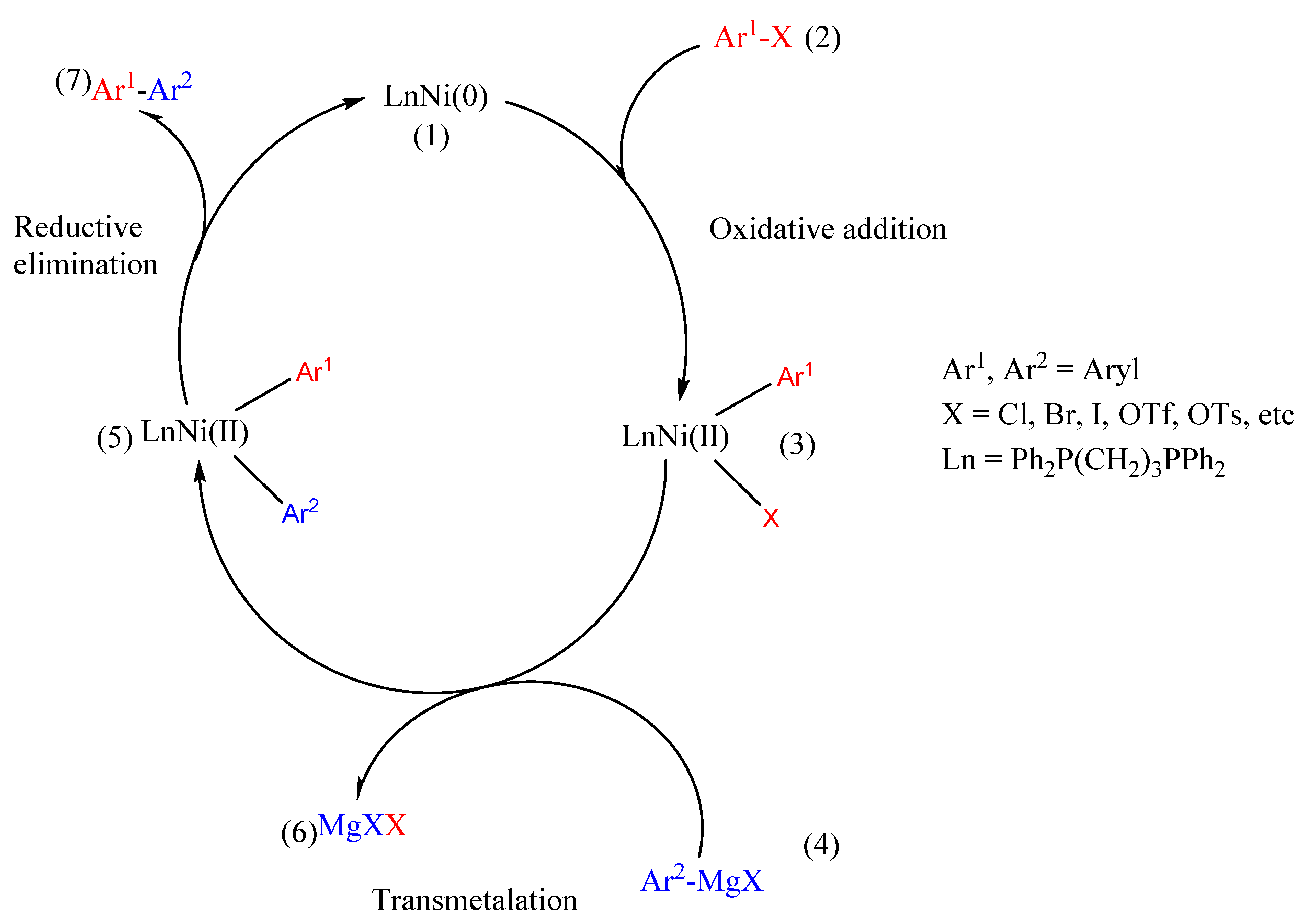 Polymers 14 00716 sch016