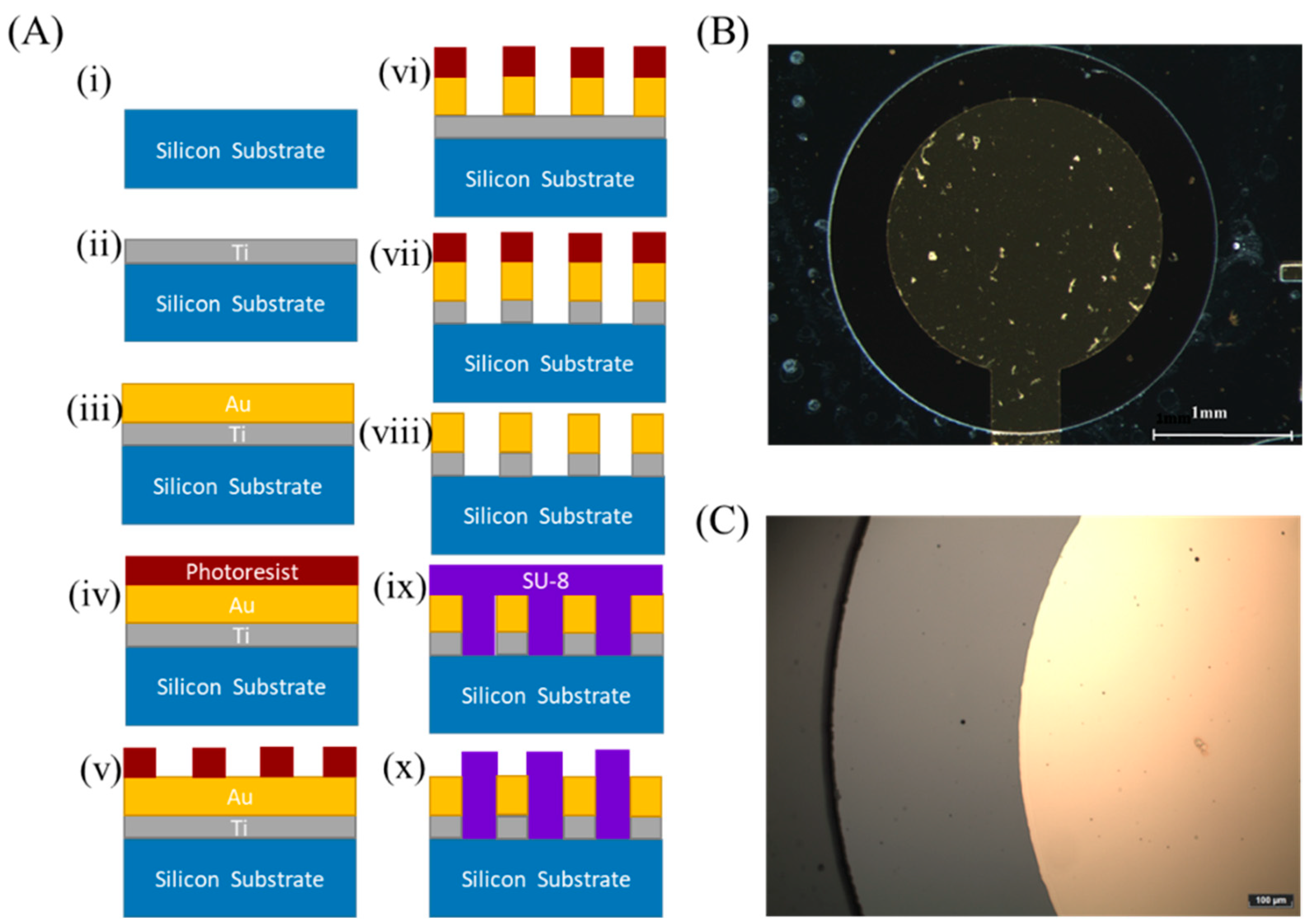 Polymers 14 00717 g002
