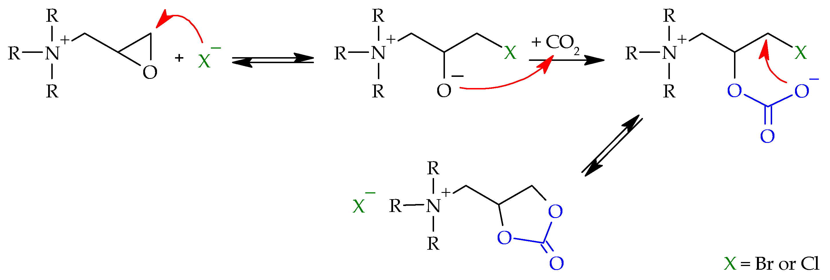 Polymers 14 00718 sch003
