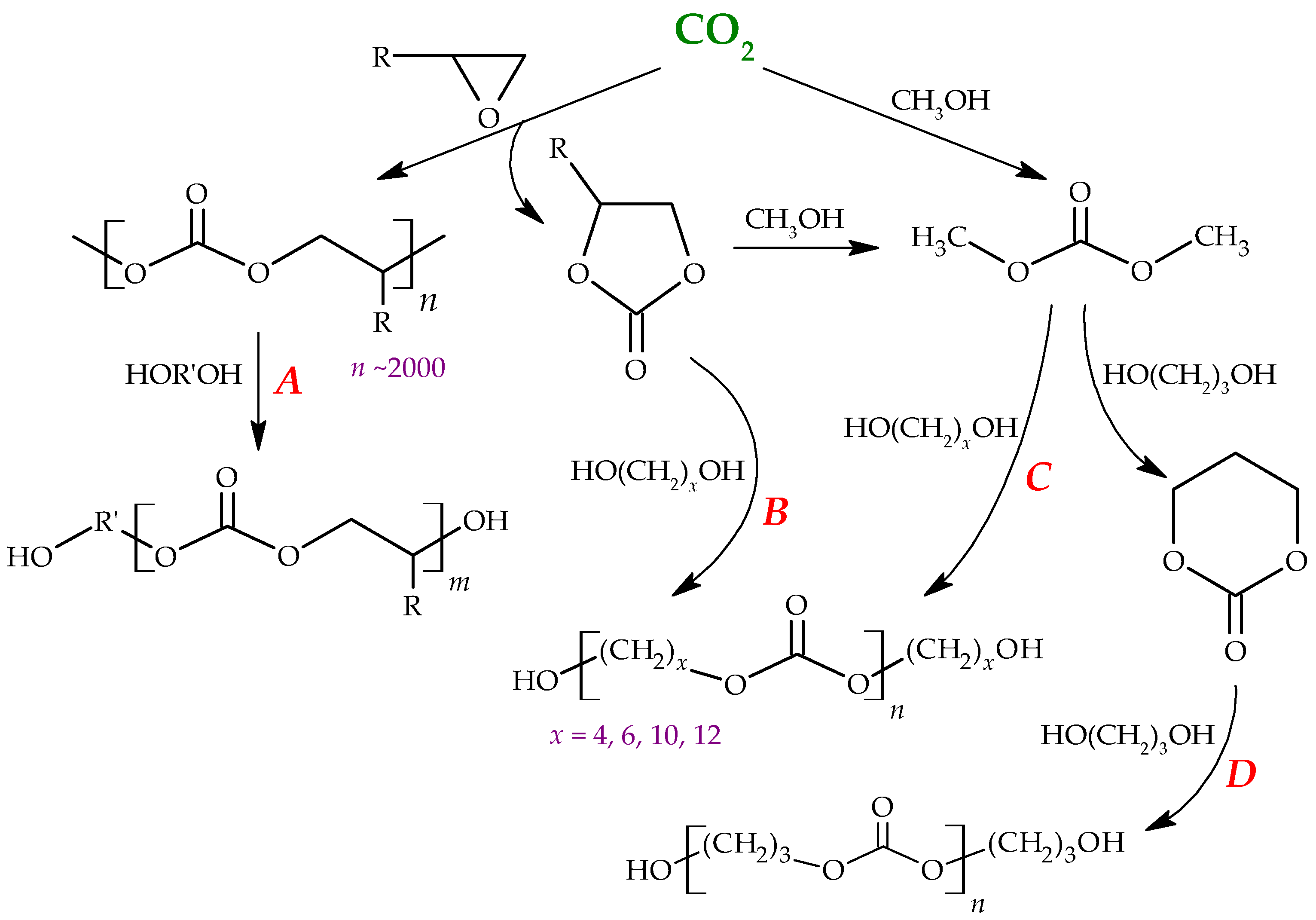 Polymers 14 00718 sch005