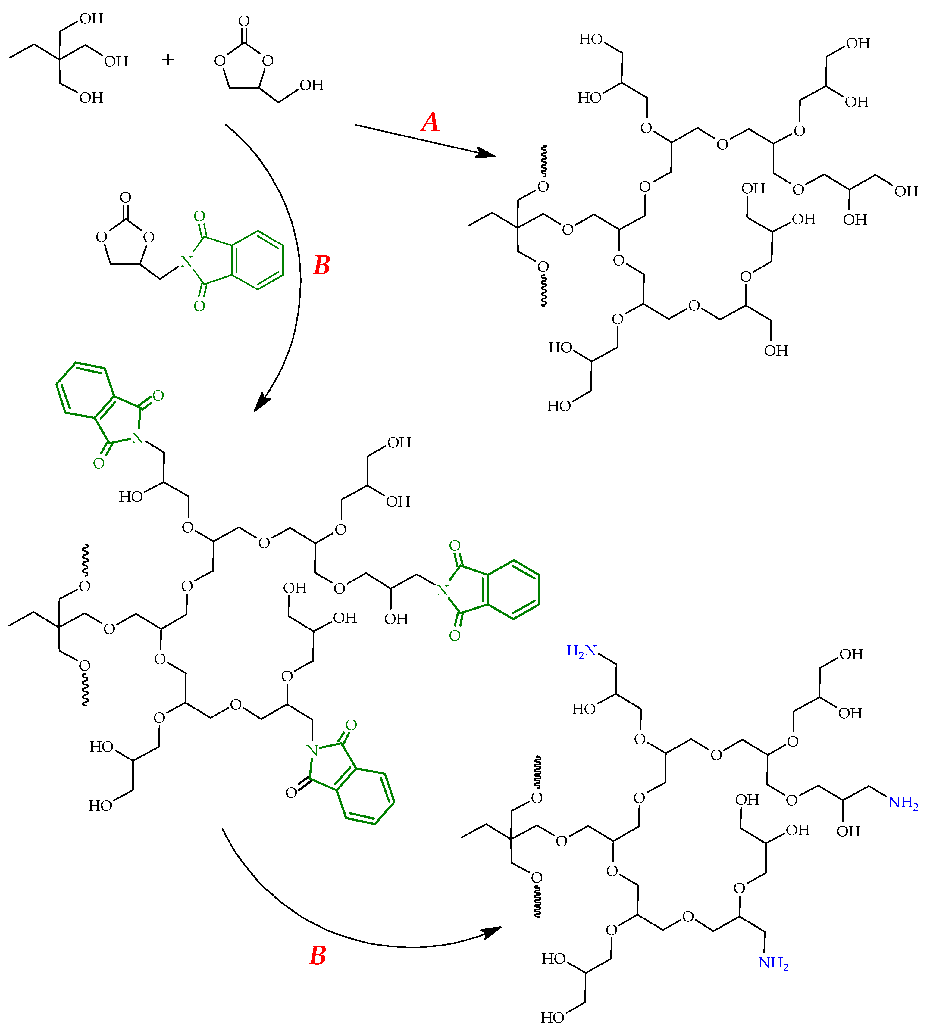 Polymers 14 00718 sch015
