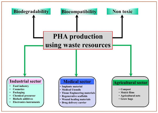 Developing Microbial Co-Culture System for Enhanced 
