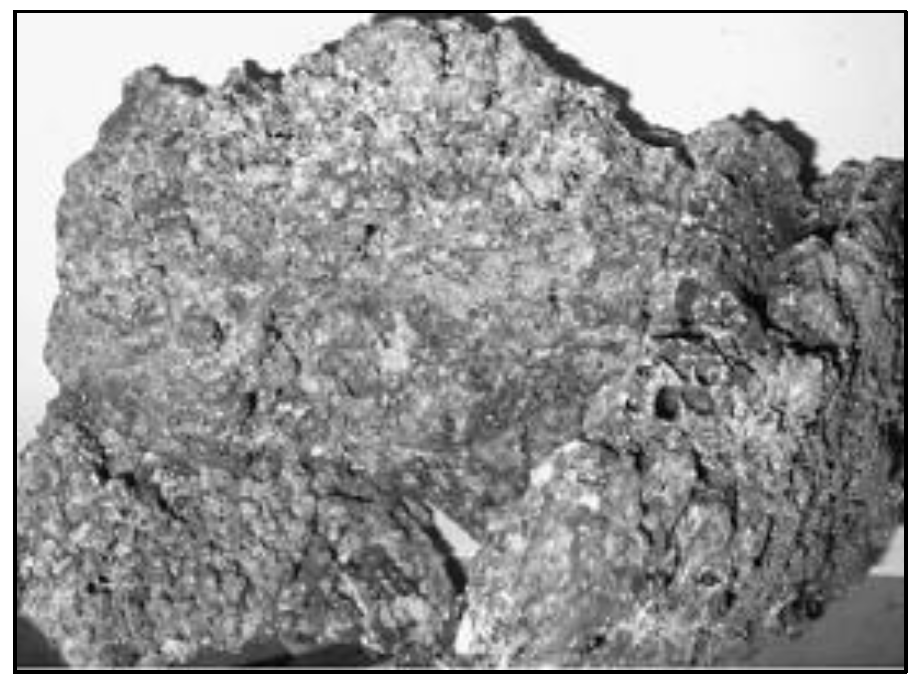 Polymers 14 00727 g001 550