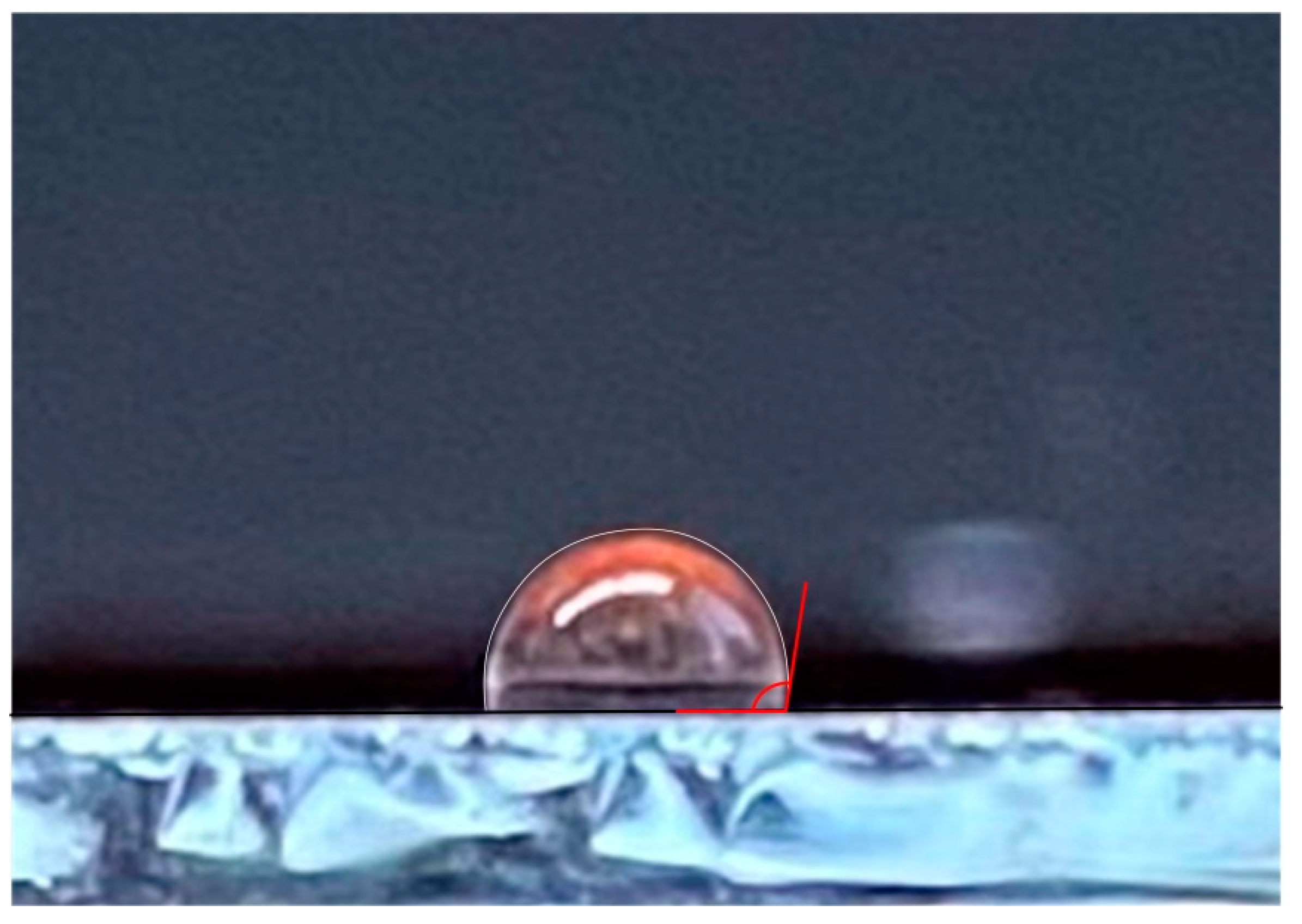 Polymers 14 00728 g005 550