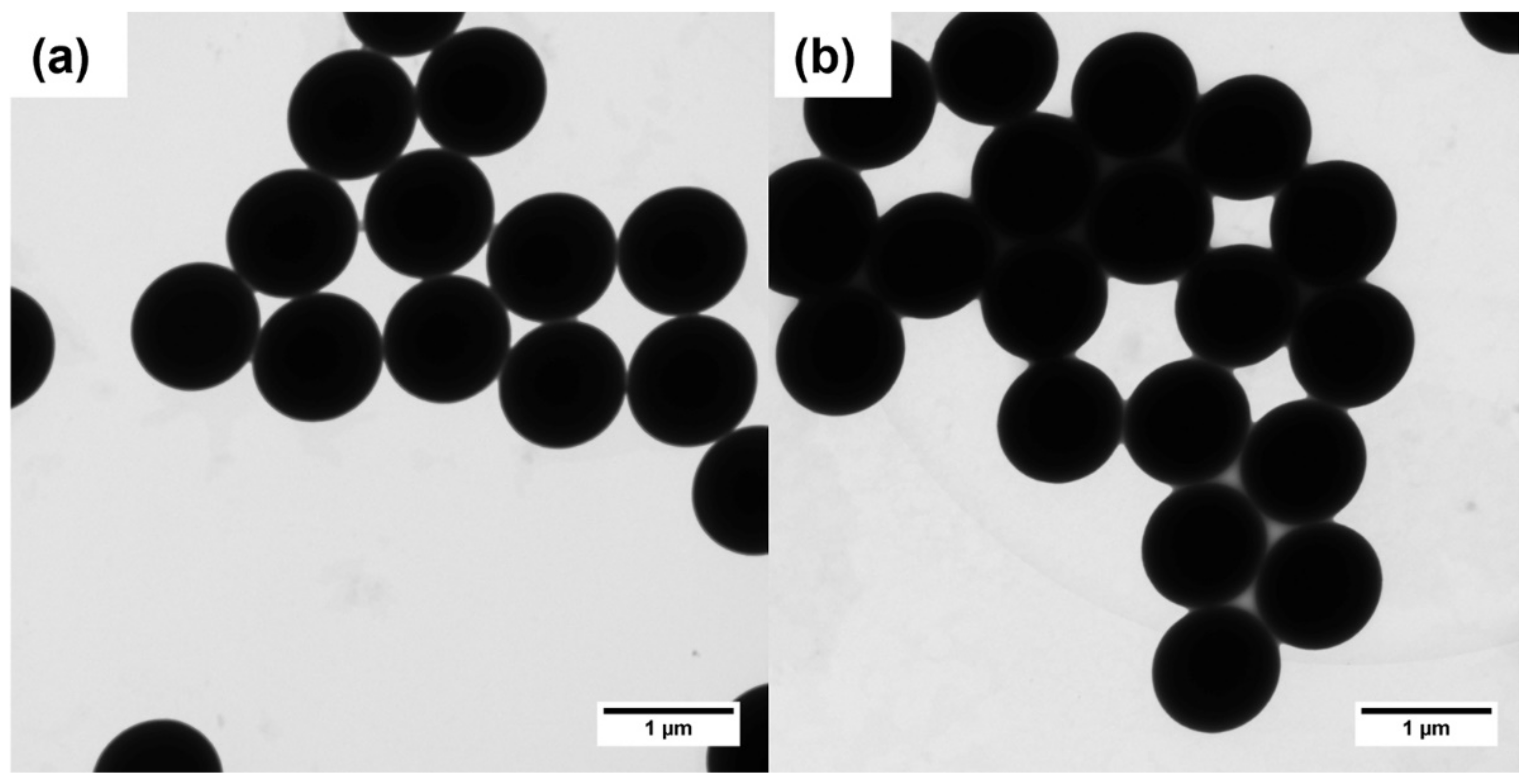 Polymers 14 00730 g002 Polymers 14 00730 g002