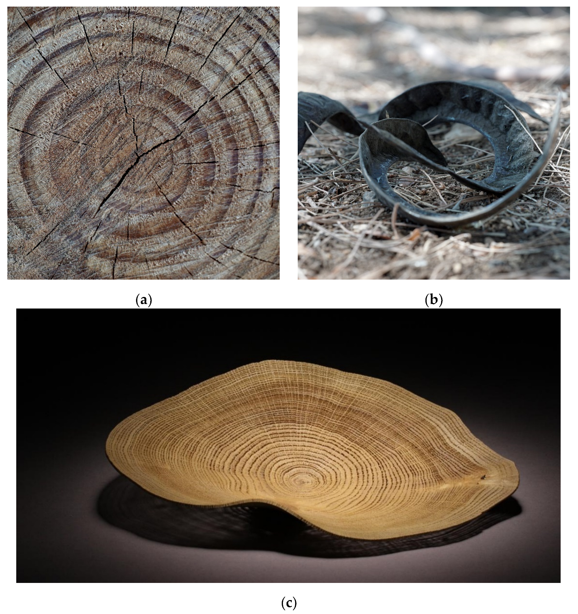 Polymers 14 00733 g001 550