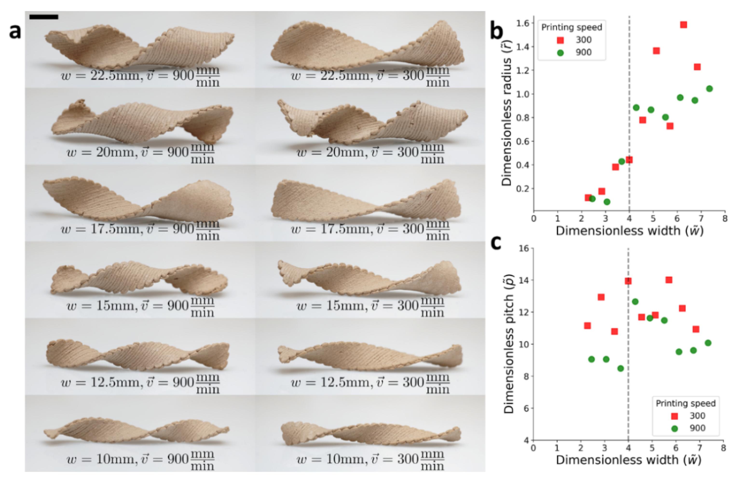 Polymers 14 00733 g005 550