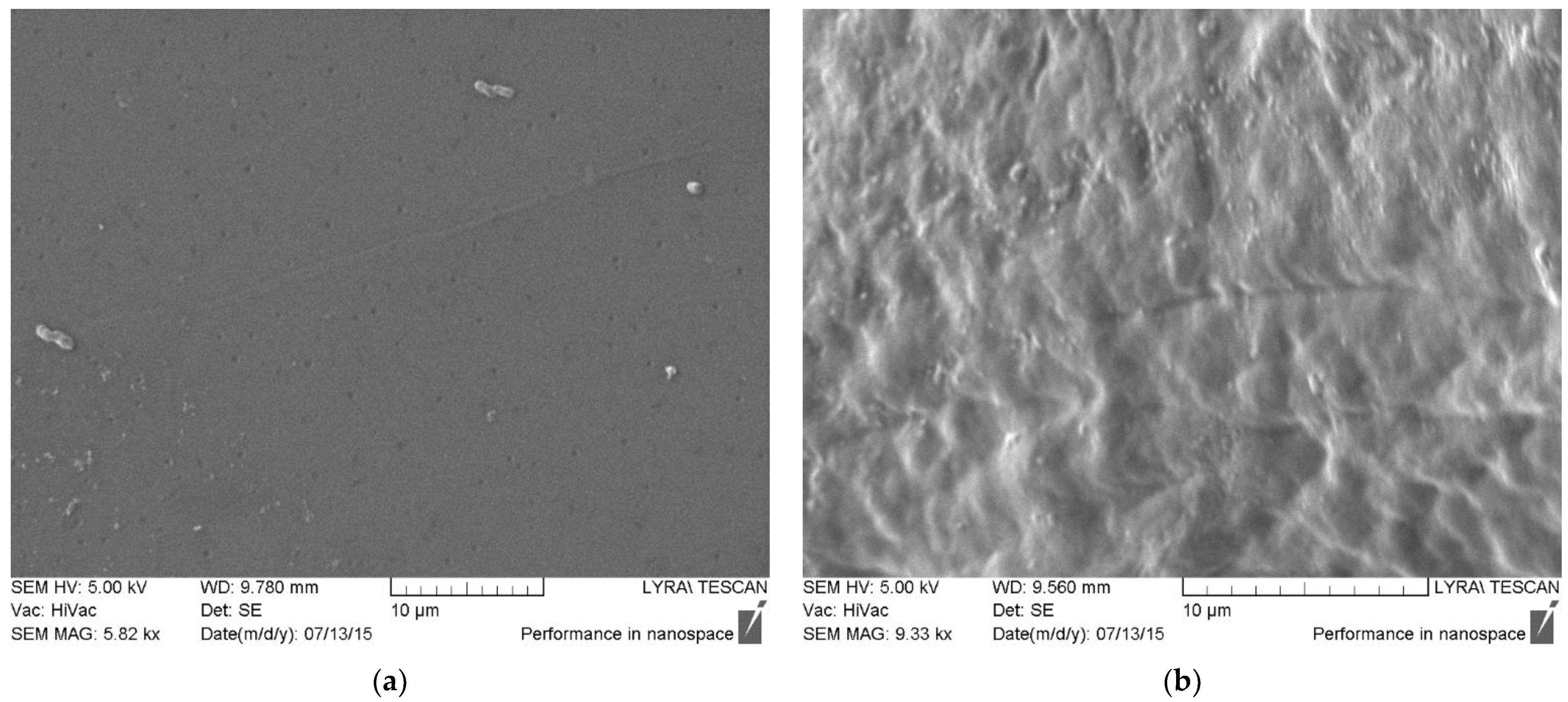 Polymers 14 00734 g005 550