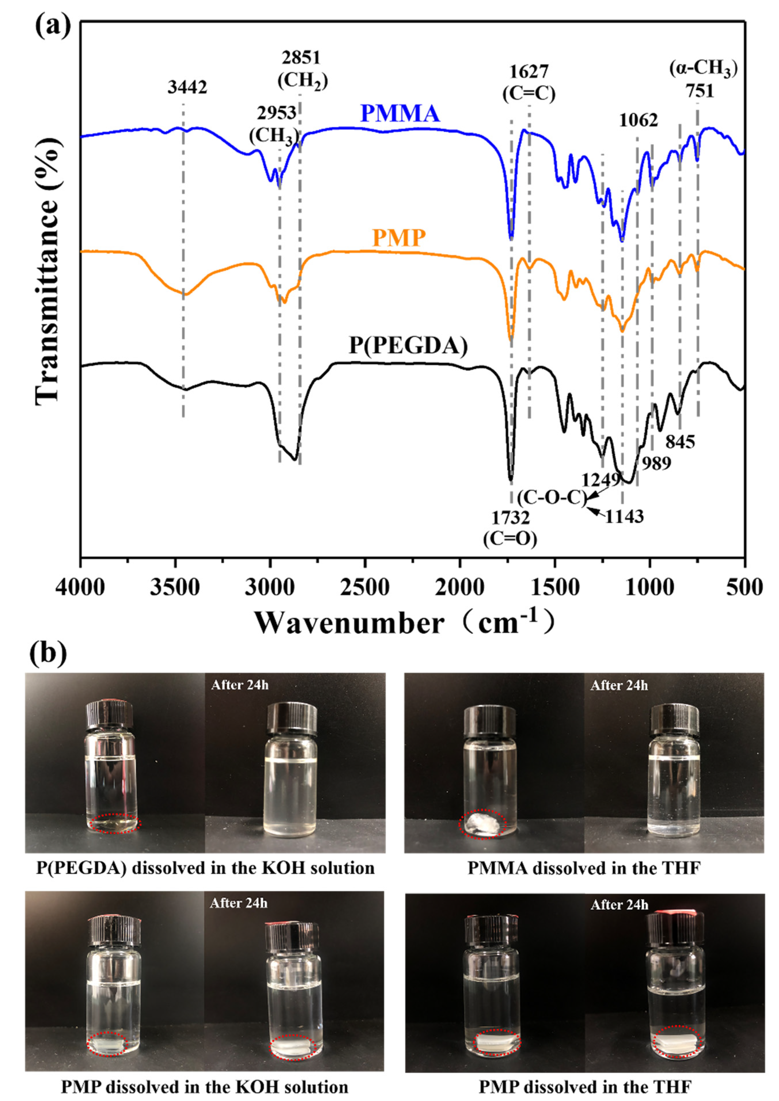Polymers 14 00738 g002 Polymers 14 00738 g002