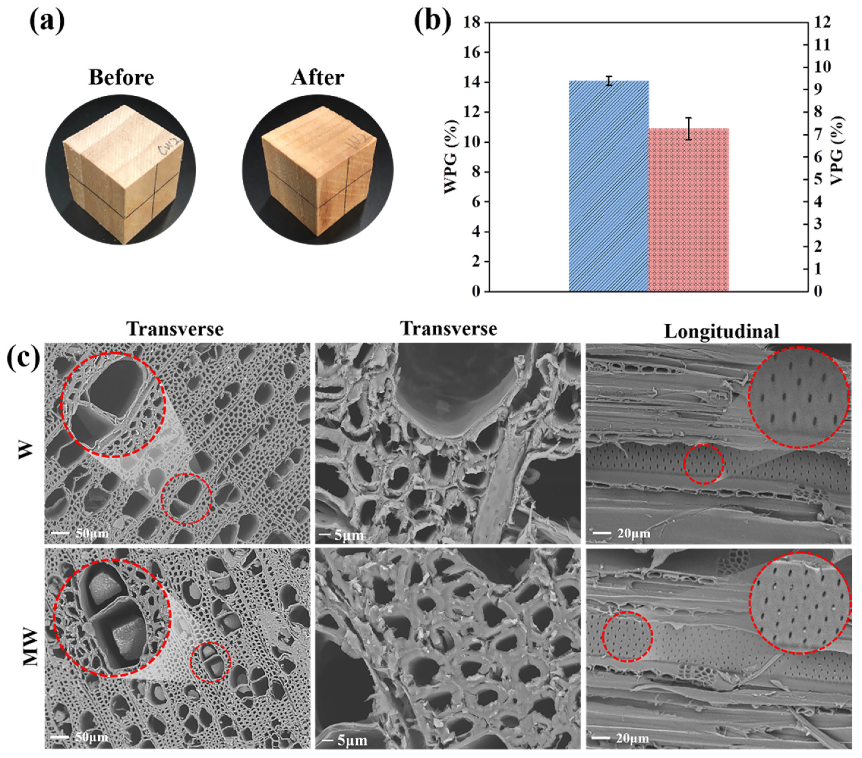 Polymers 14 00738 g004 Polymers 14 00738 g004