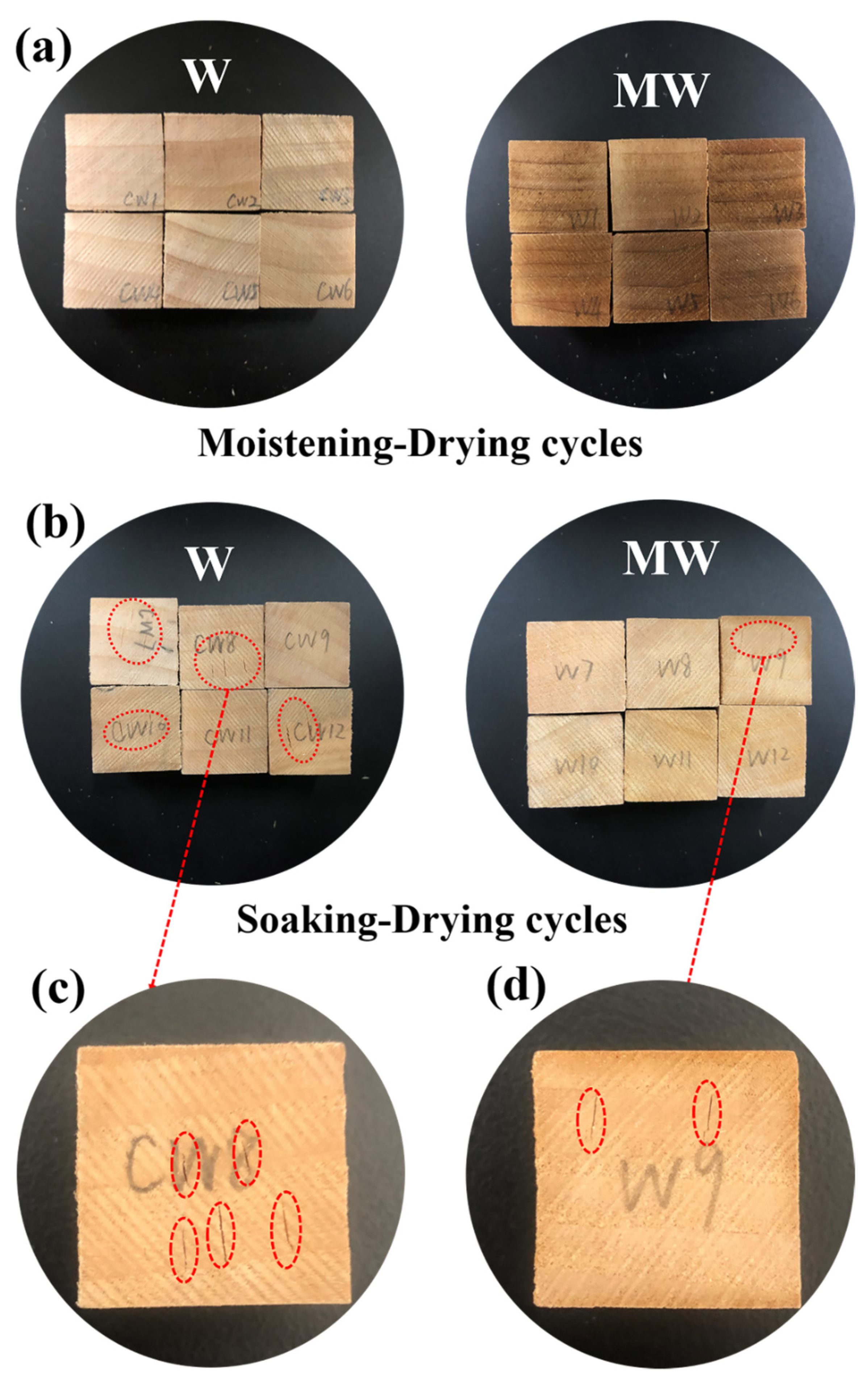 Polymers 14 00738 g006 Polymers 14 00738 g006