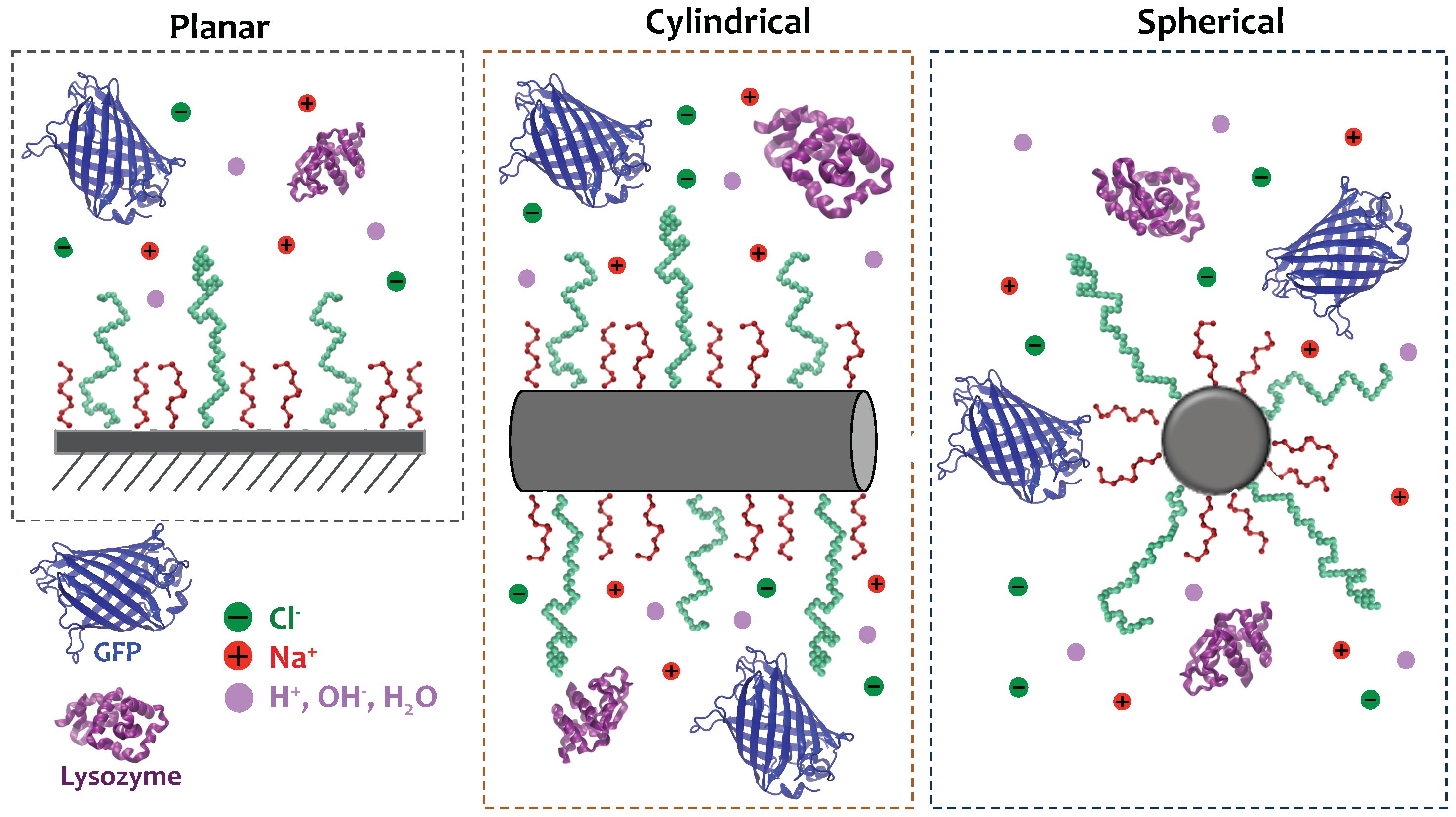Polymers 14 00739 g001