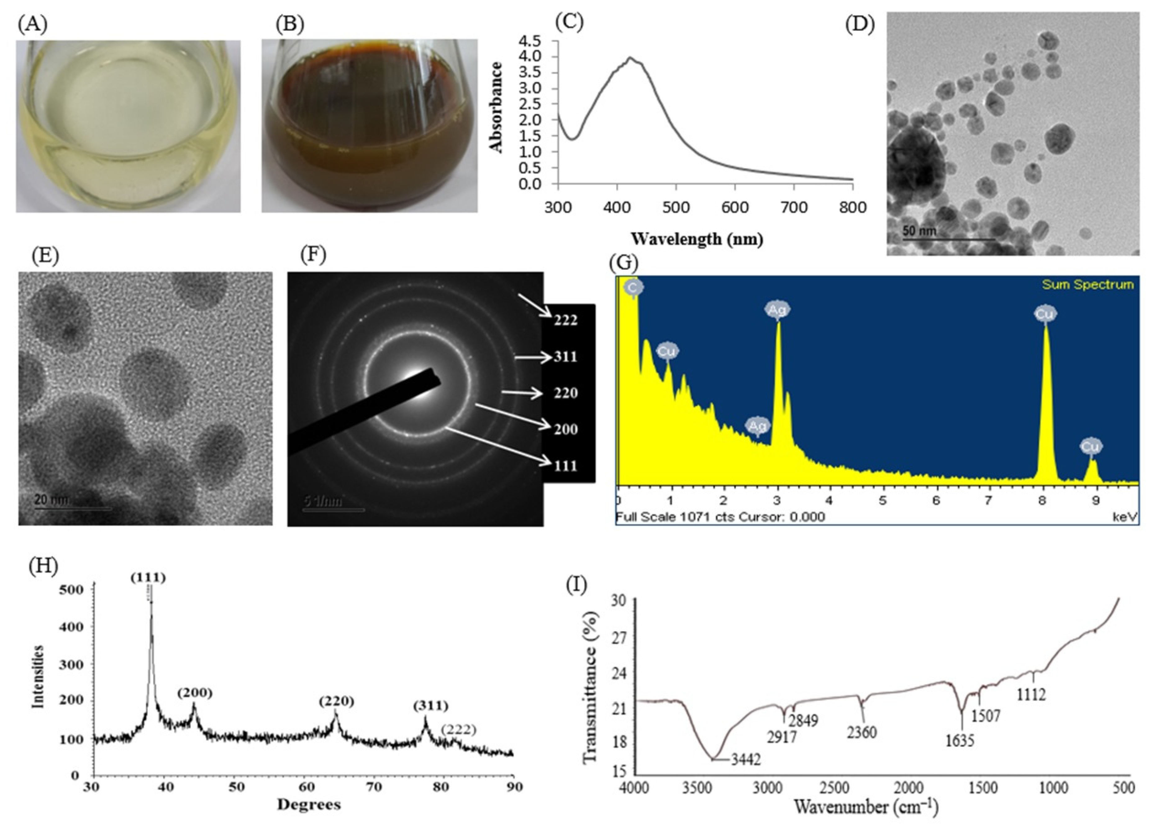 Polymers 14 00742 g004