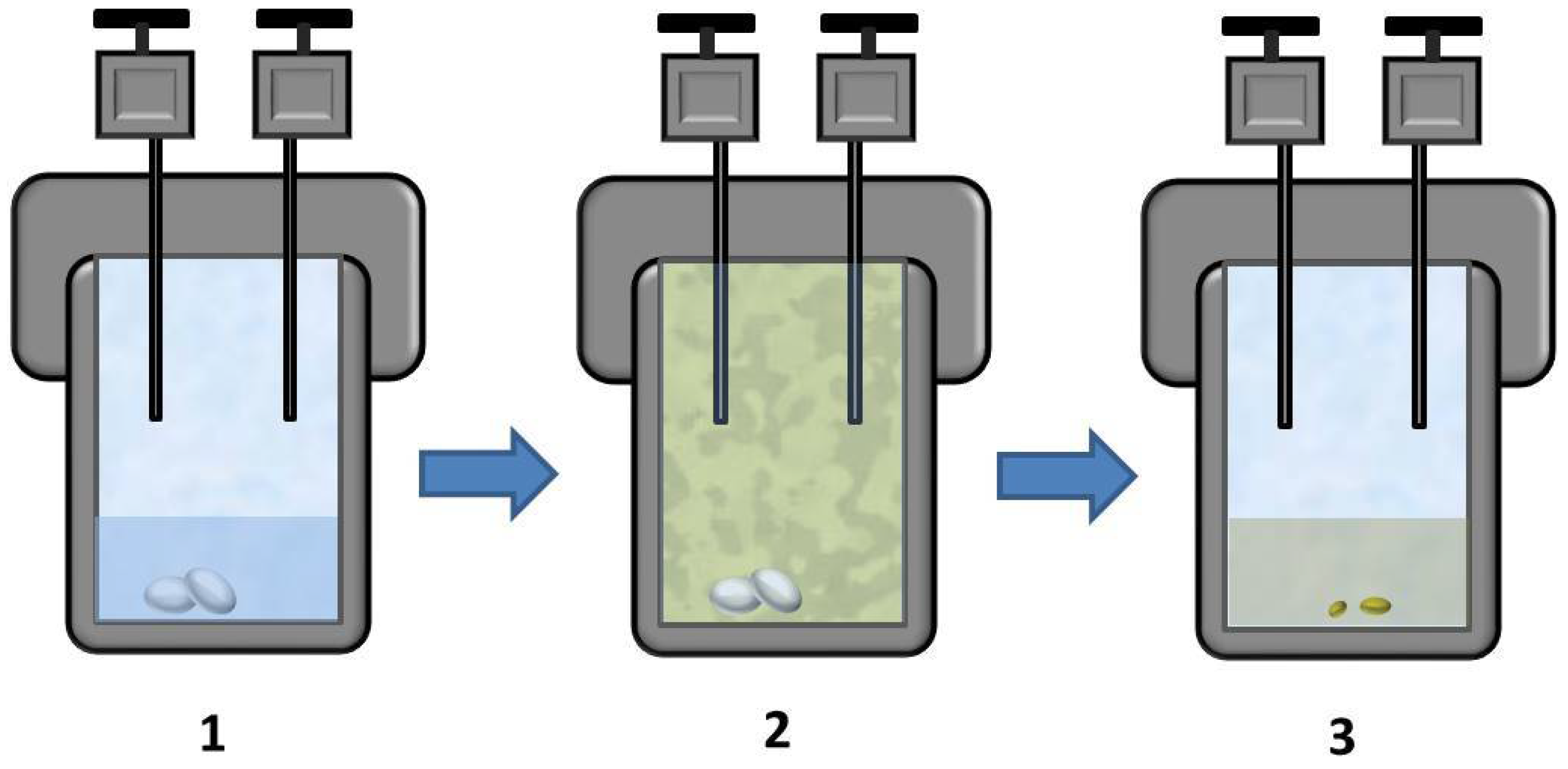 Polymers 14 00744 g001