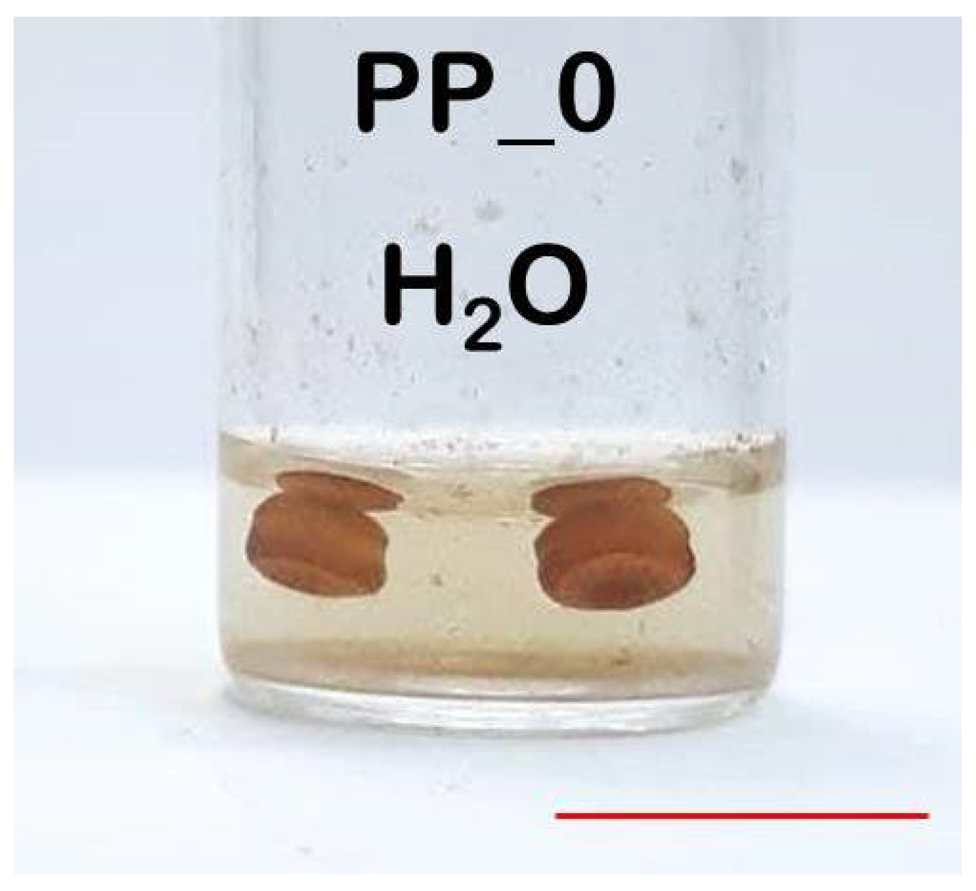 Polymers 14 00744 g002