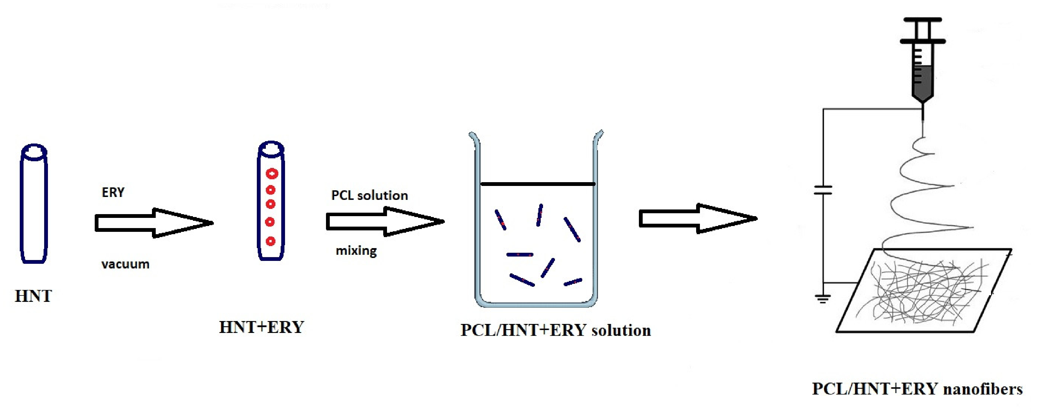 Polymers 14 00746 g001
