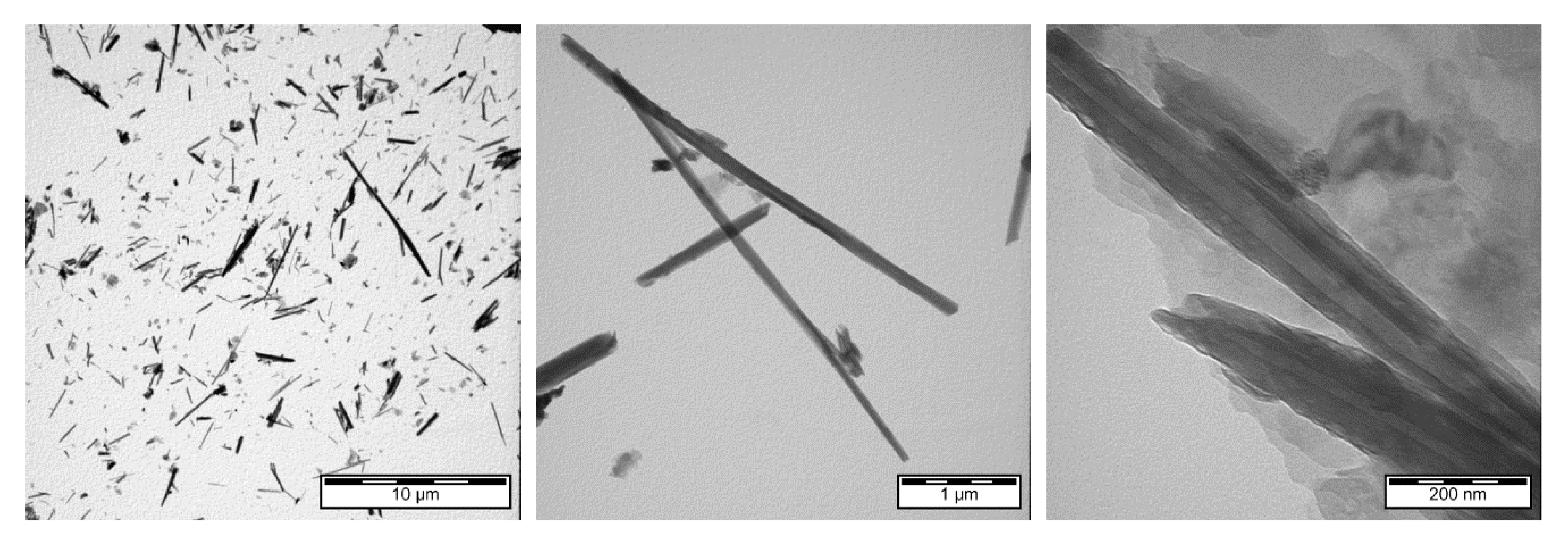 Polymers 14 00746 g002