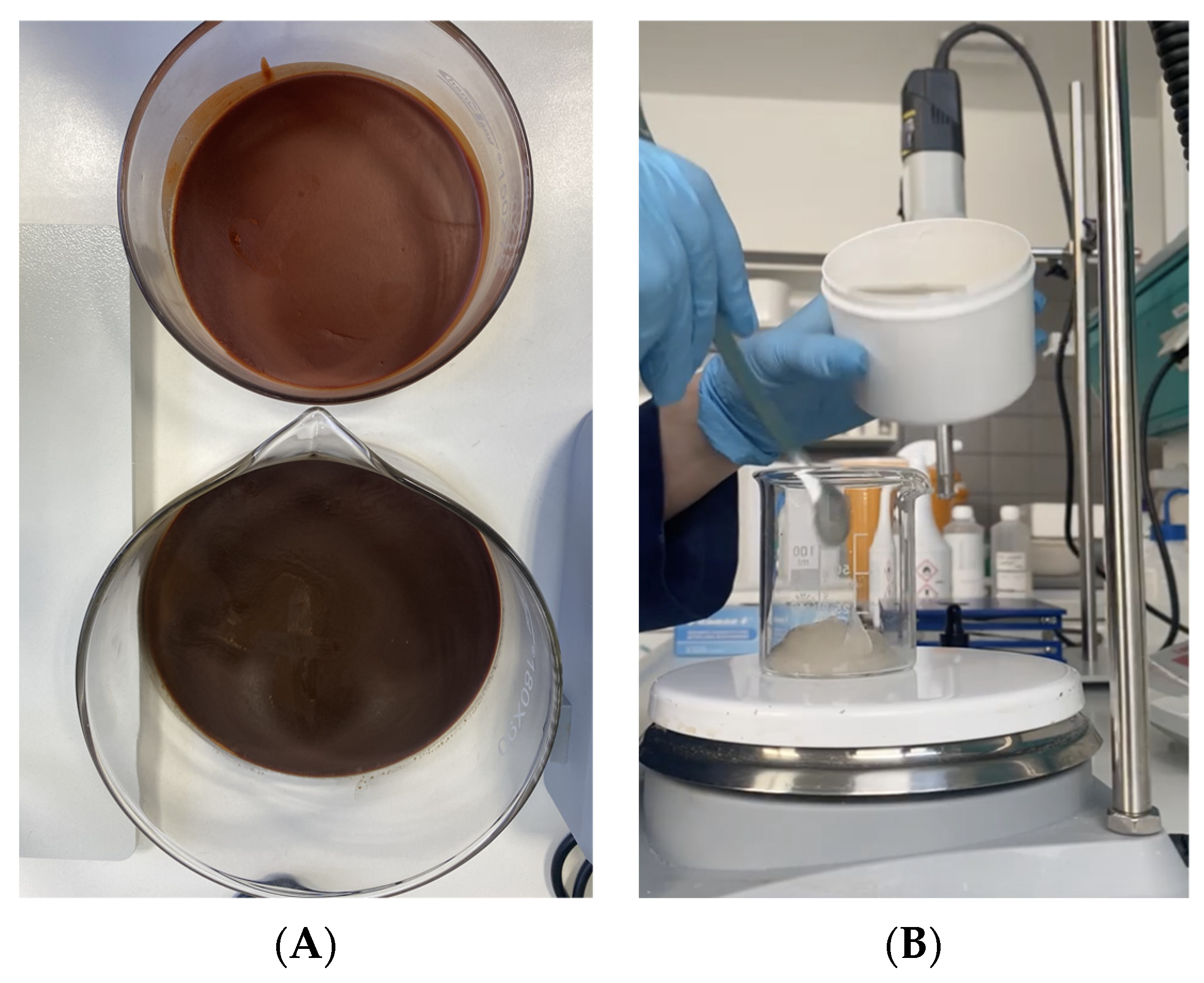 Polymers 14 00749 g001