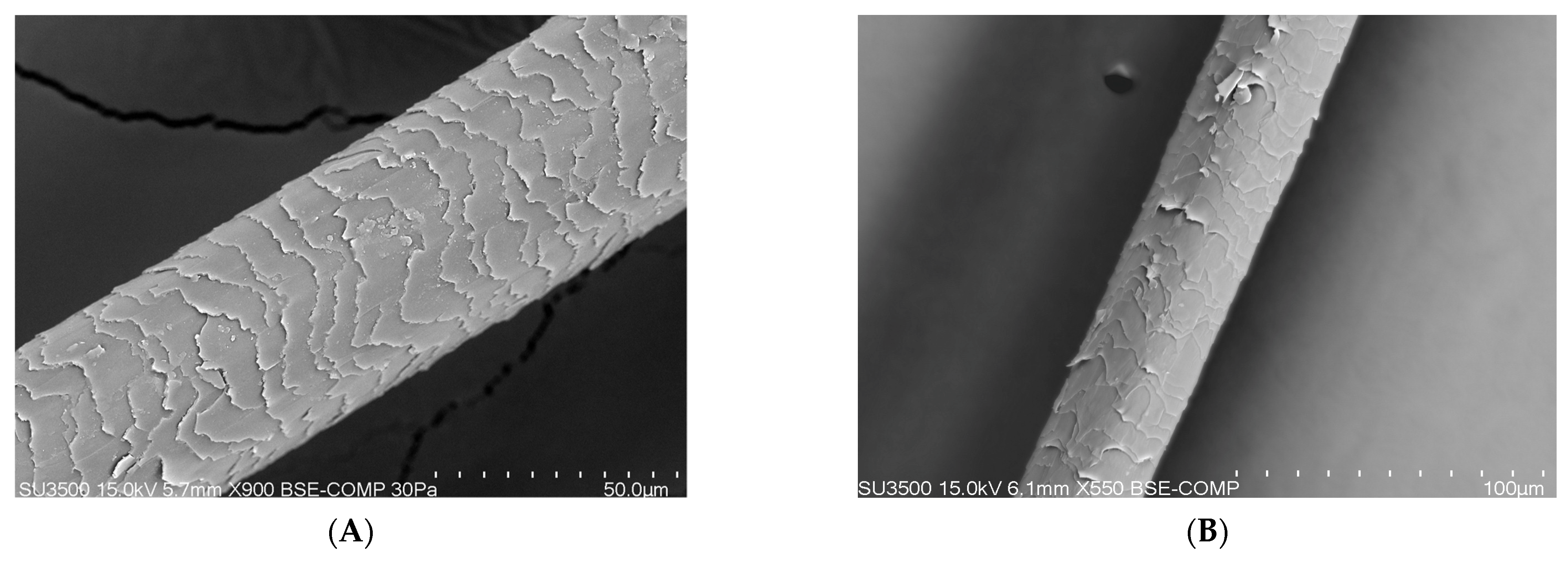 Polymers 14 00749 g006
