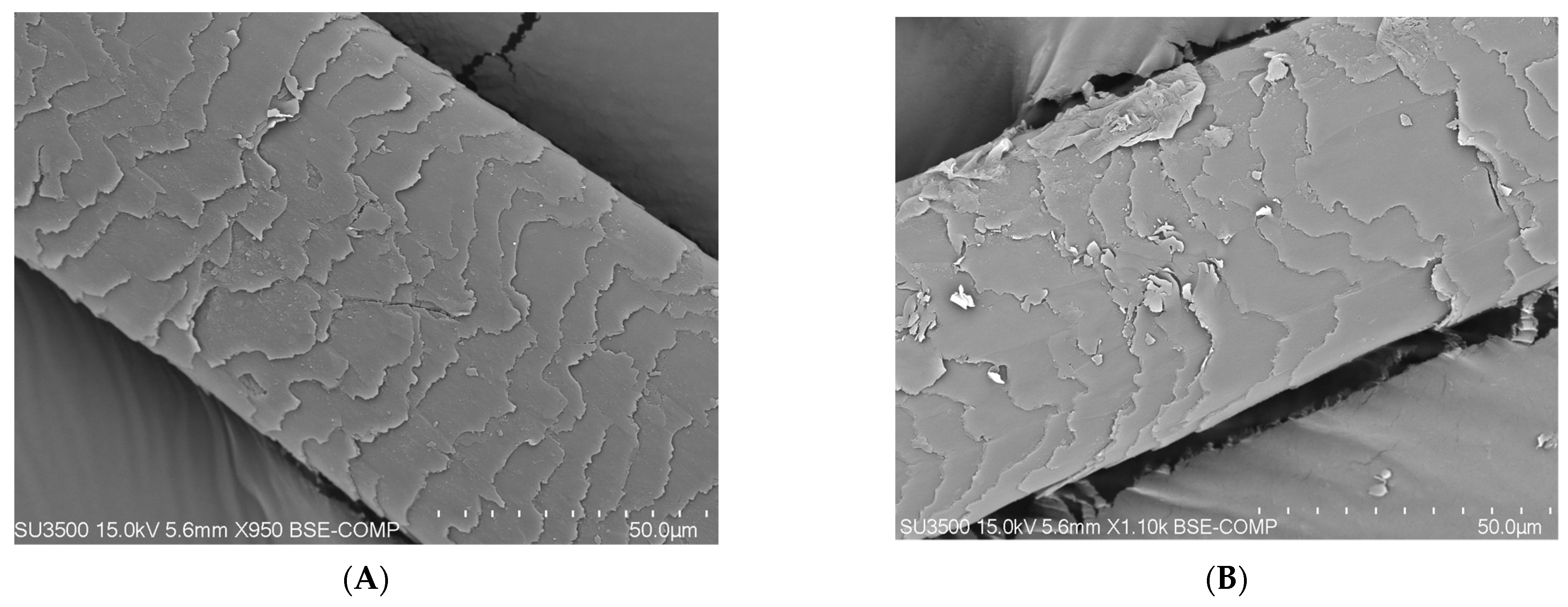 Polymers | Free Full-Text | The Use of Natural Collagen Obtained from Fish Waste in Hair Styling and Care Polymers | Free Full-Text | The Use of Natural Collagen Obtained from Fish Waste in Hair Styling and Care