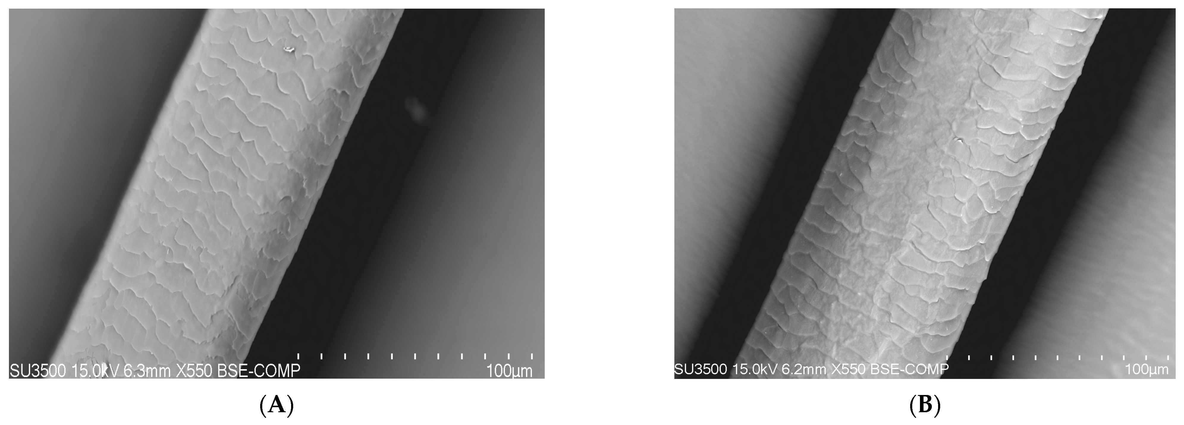 Polymers 14 00749 g008