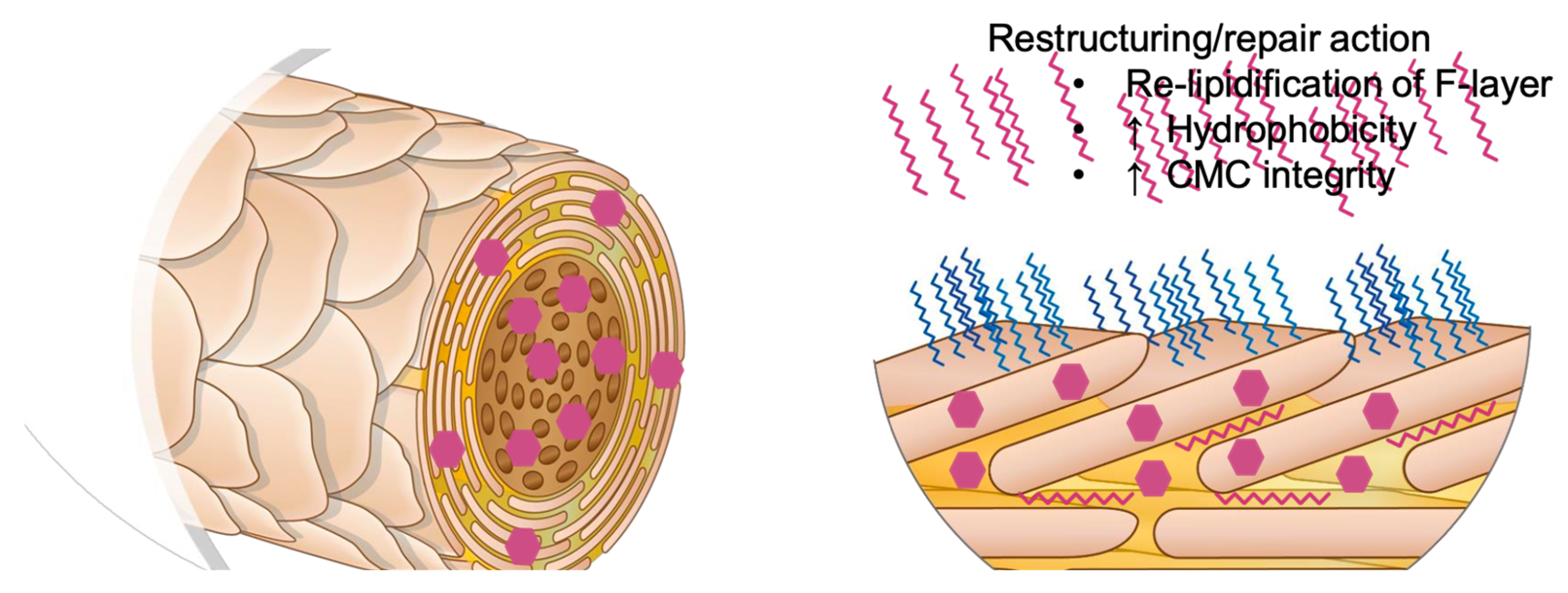 Polymers 14 00749 g011