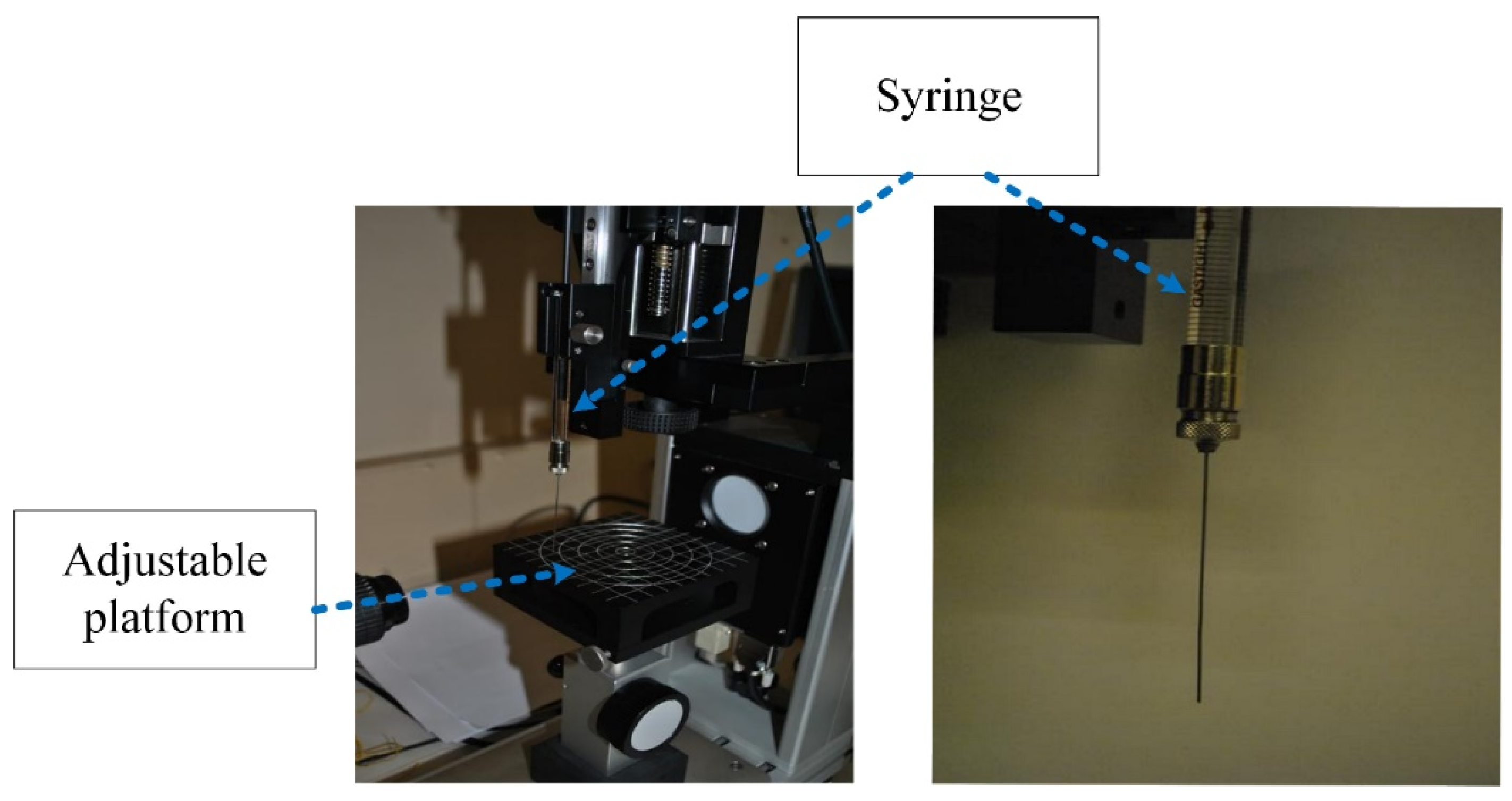 Polymers 14 00750 g002 550