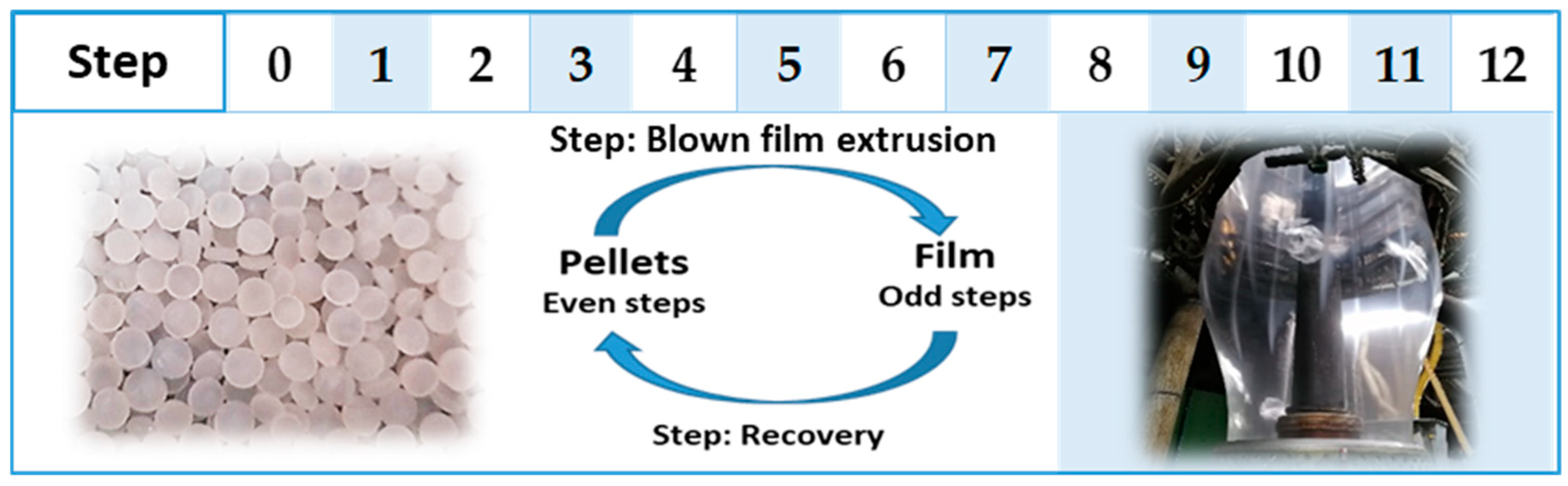 Polymers 14 00754 g001 550