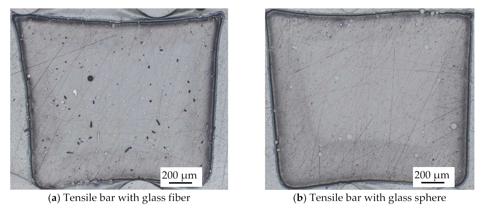 Polymers 14 00759 g006 550