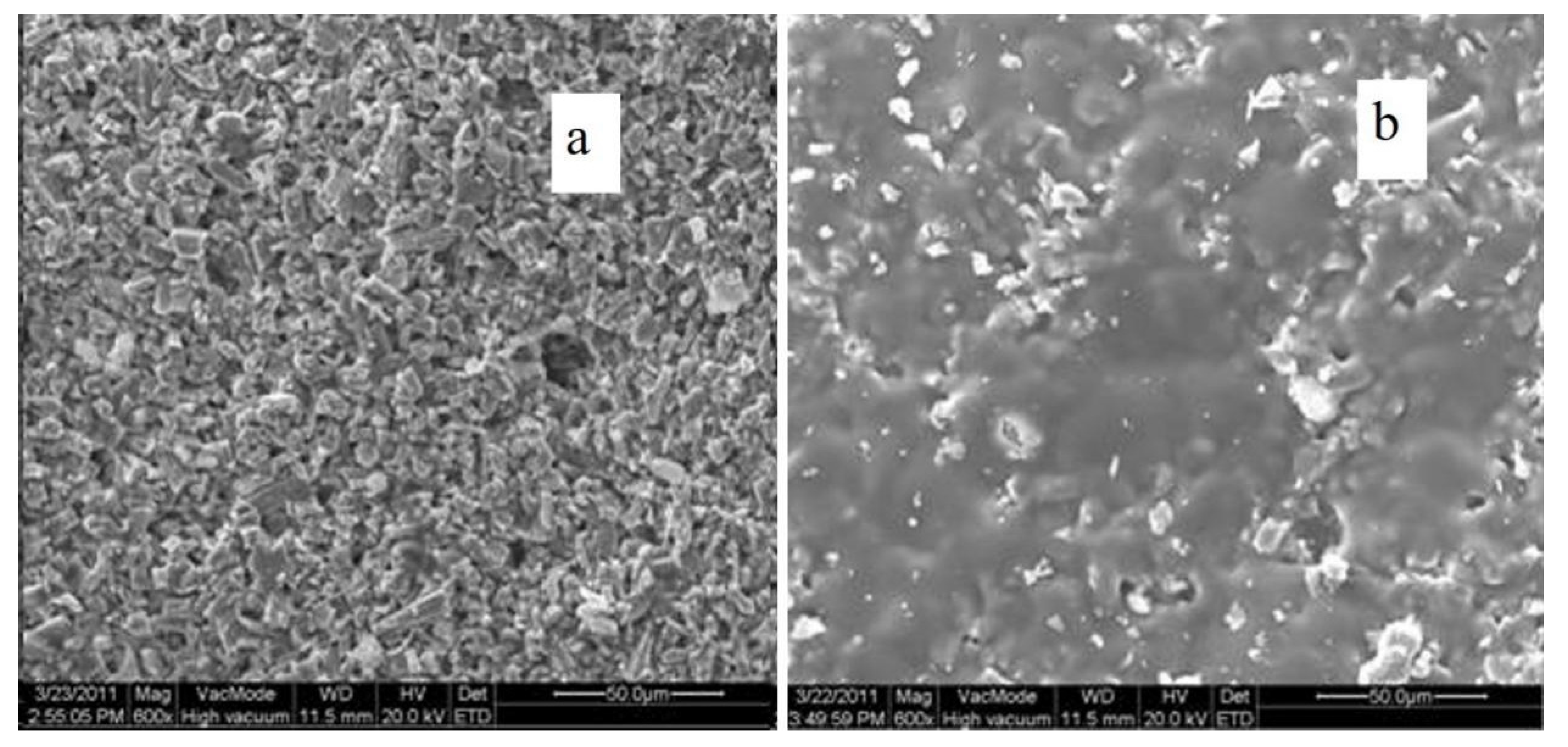Polymers 14 00760 g006 550