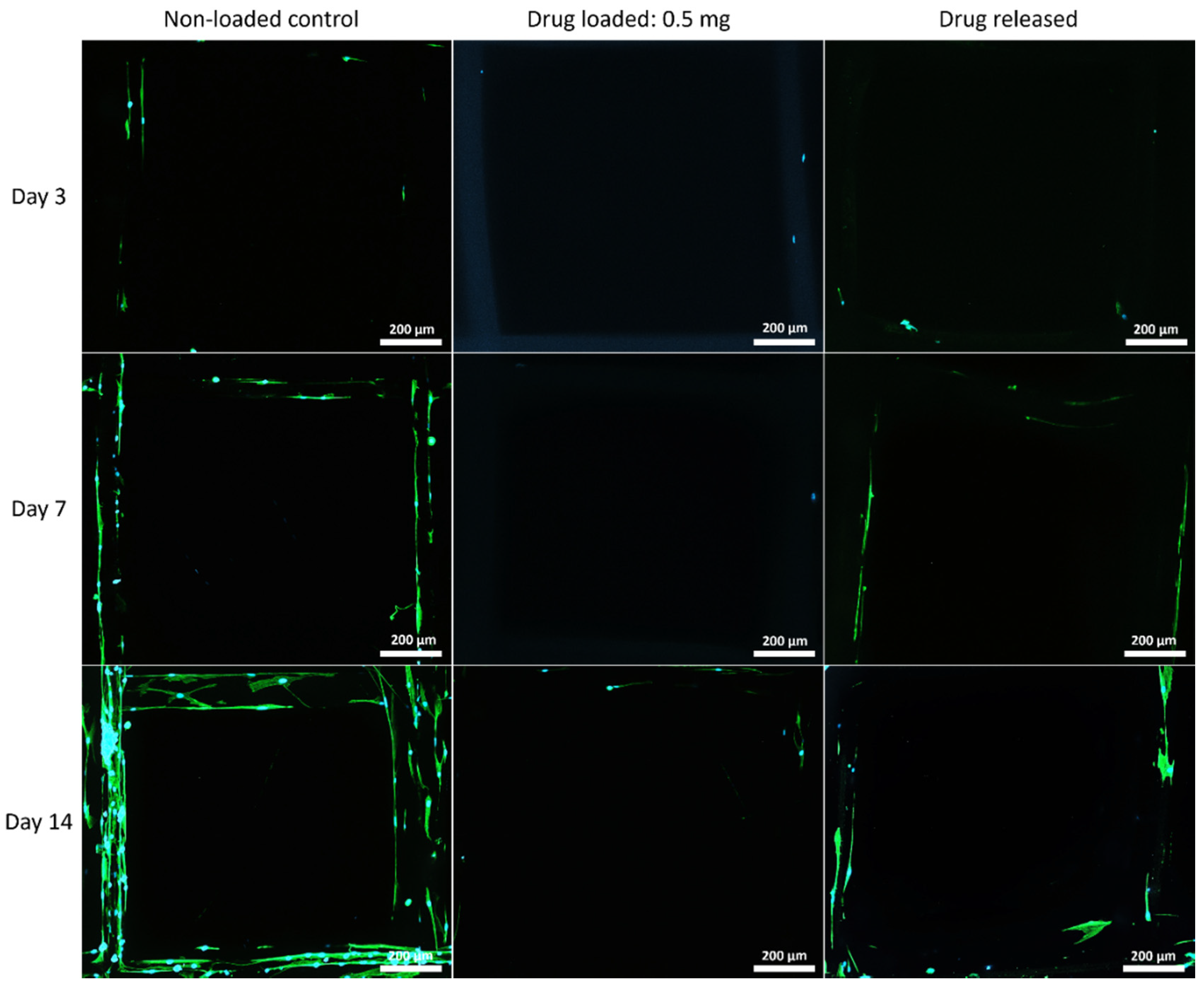 Polymers 14 00763 g007 Polymers 14 00763 g007