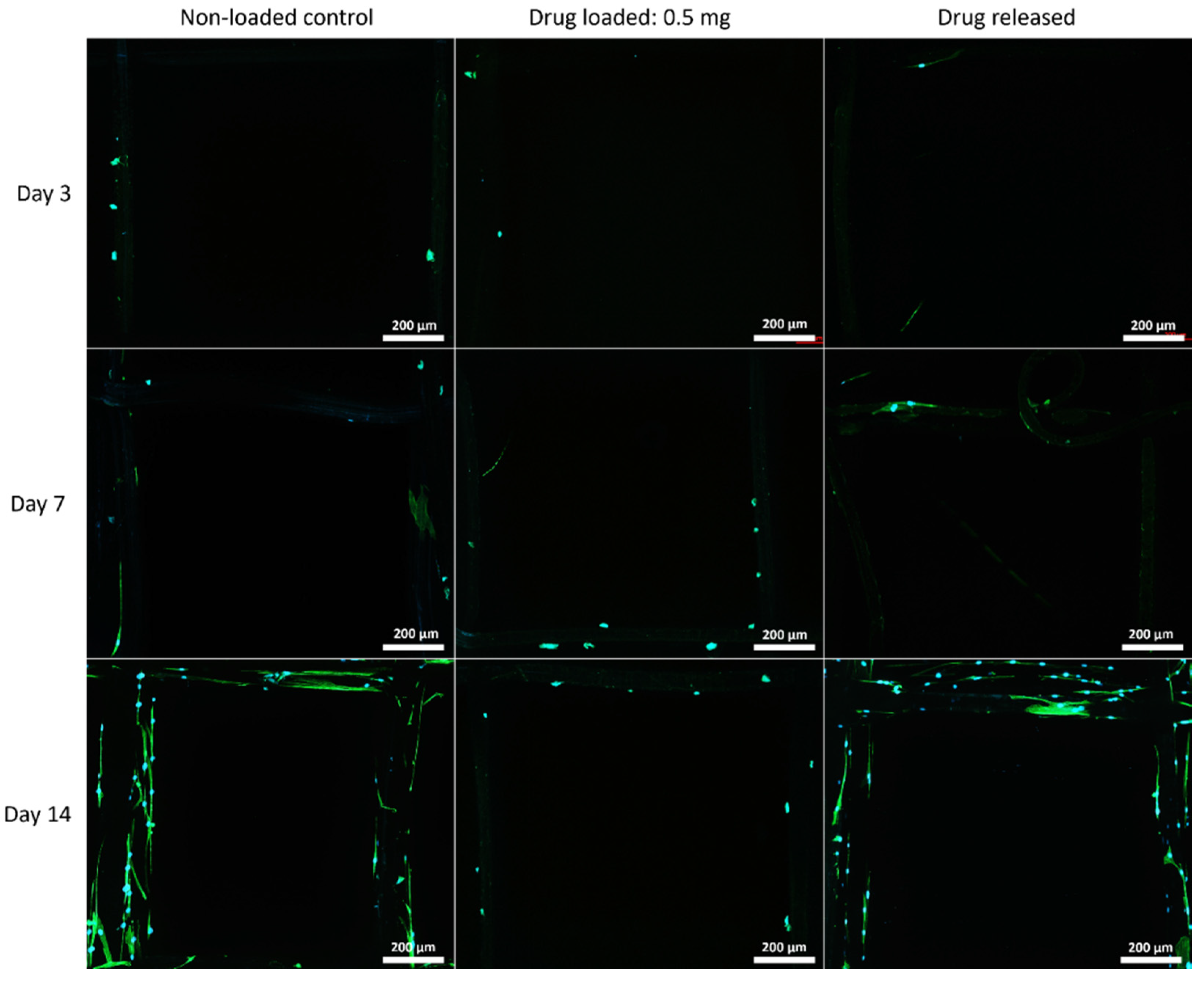 Polymers 14 00763 g008 Polymers 14 00763 g008