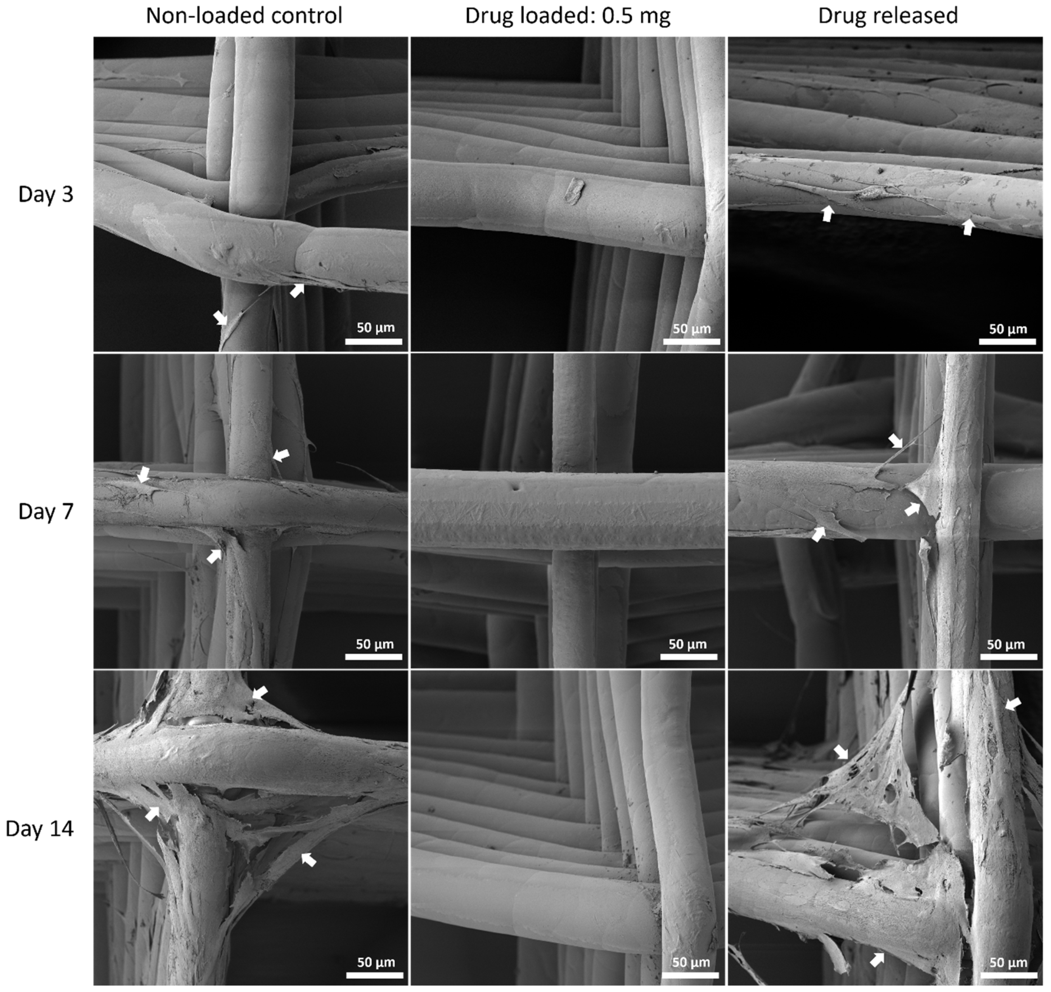 Polymers 14 00763 g010 Polymers 14 00763 g010