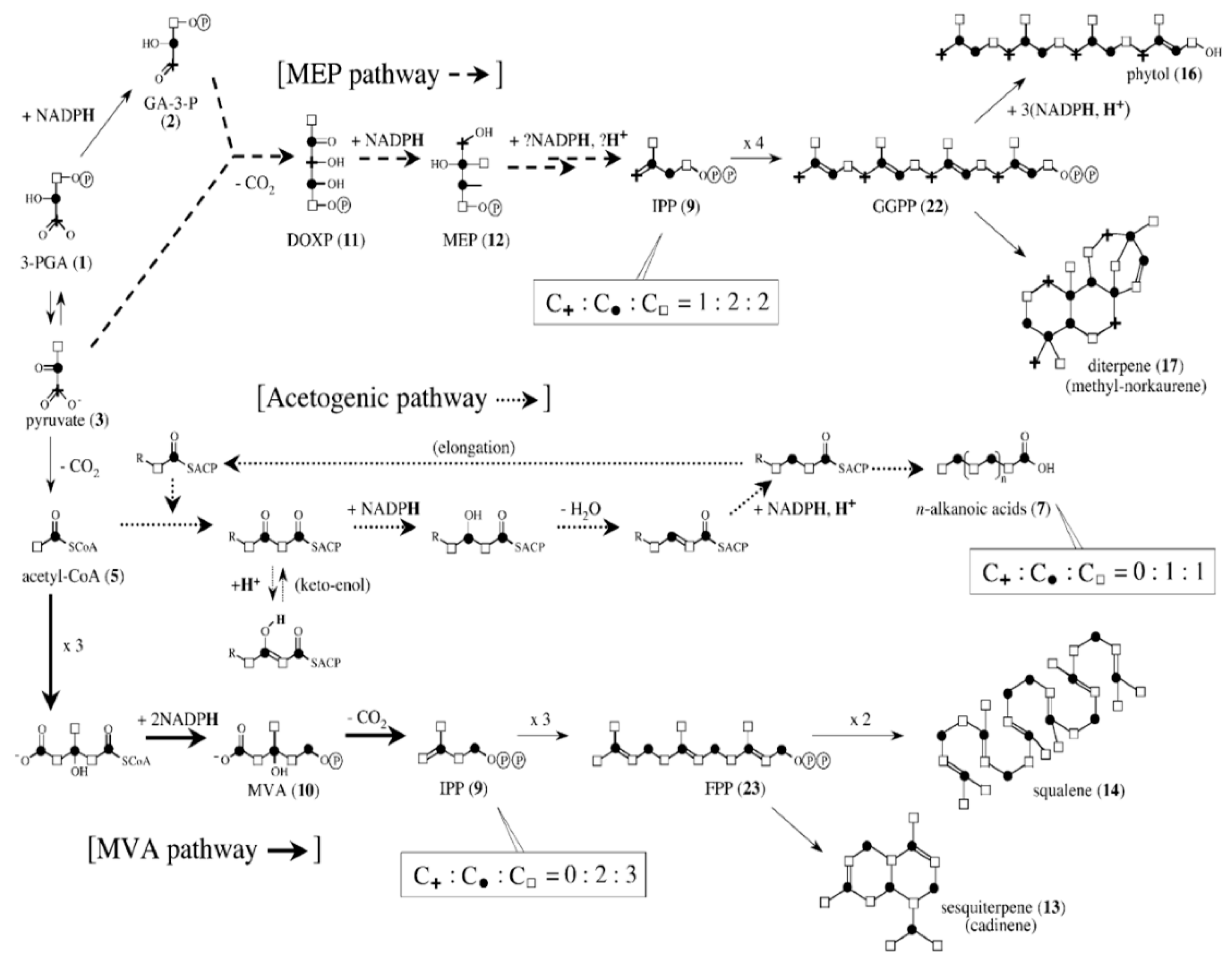 Polymers 14 00764 g002