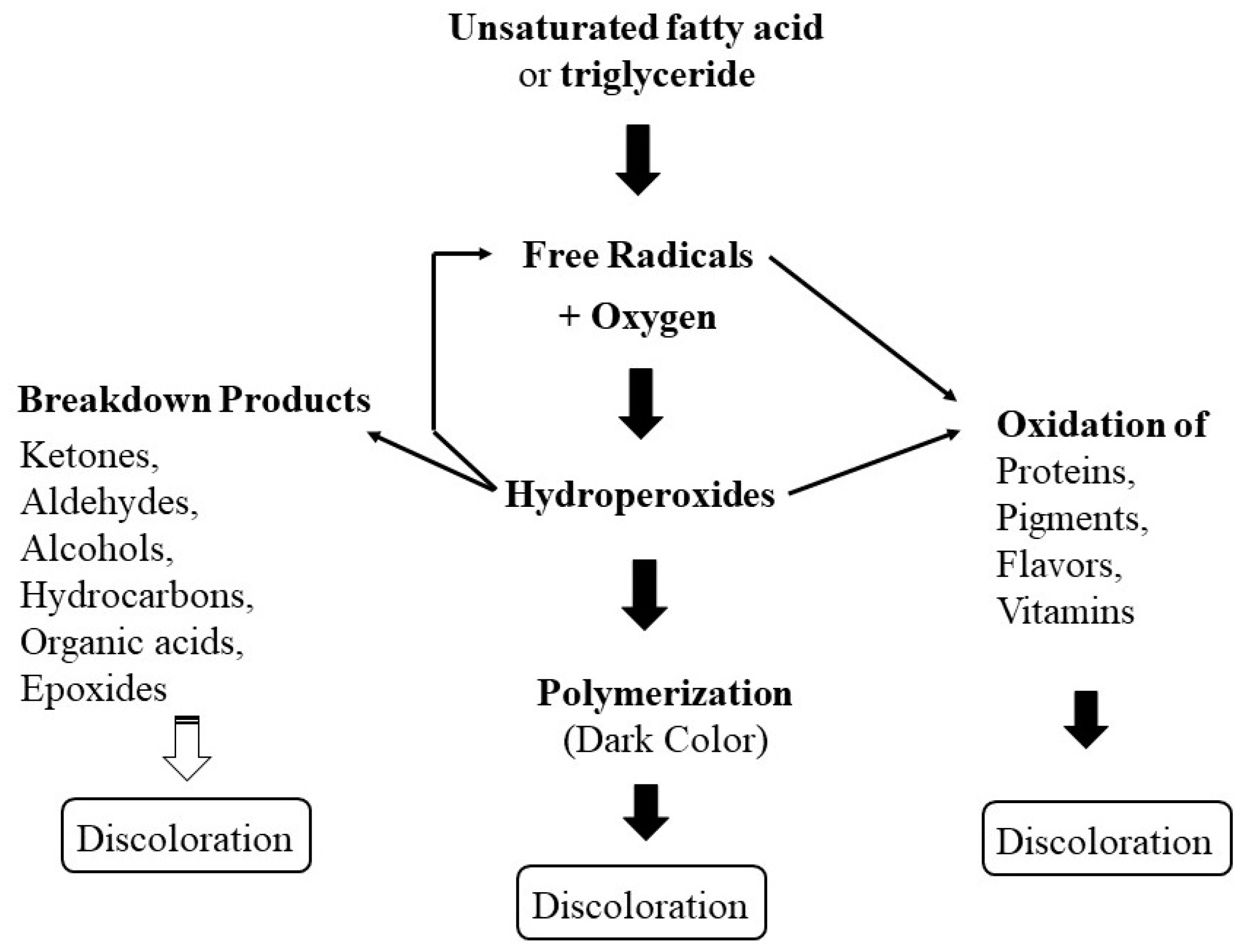 Polymers 14 00764 g005