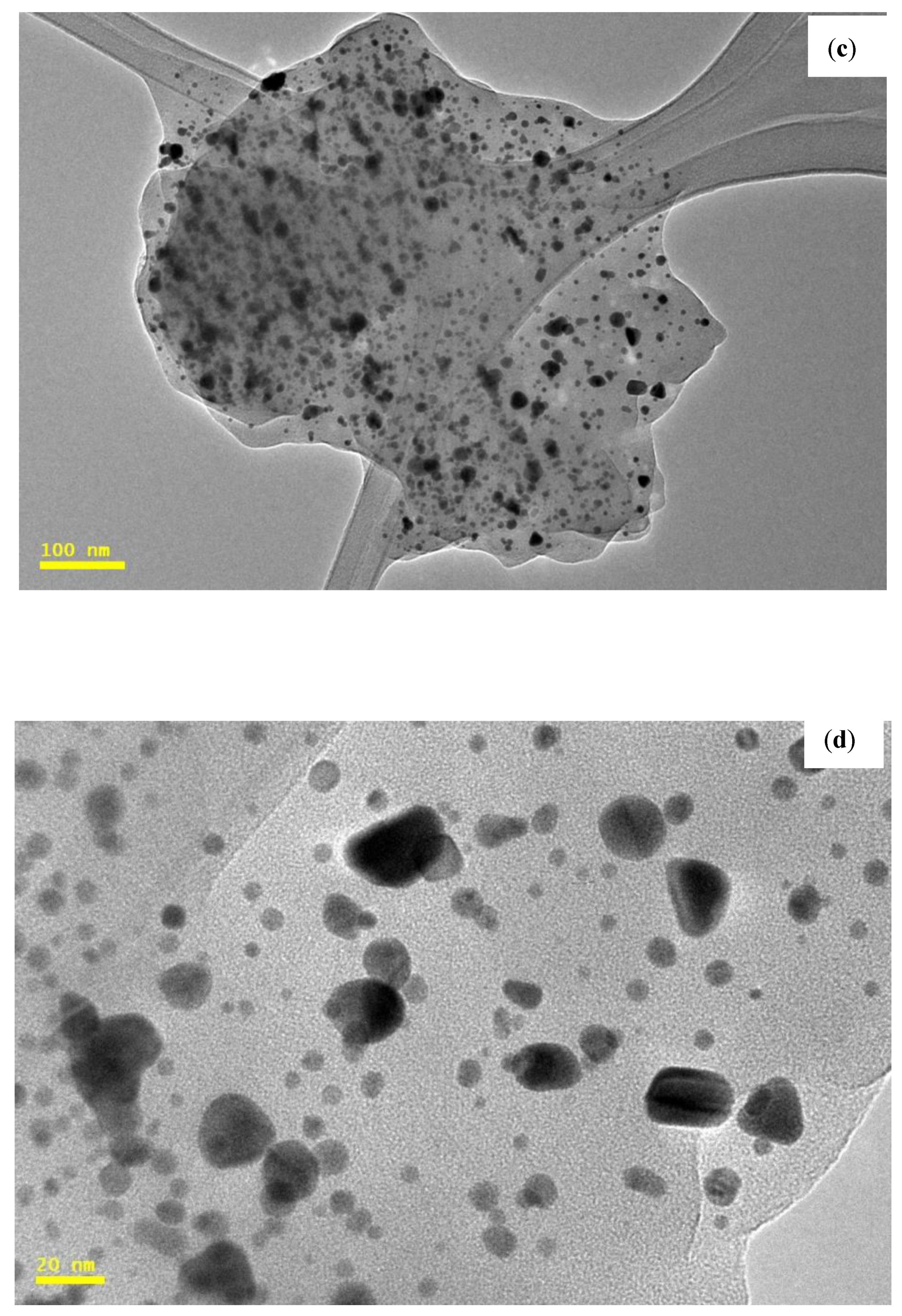 Polymers 14 00766 g006b