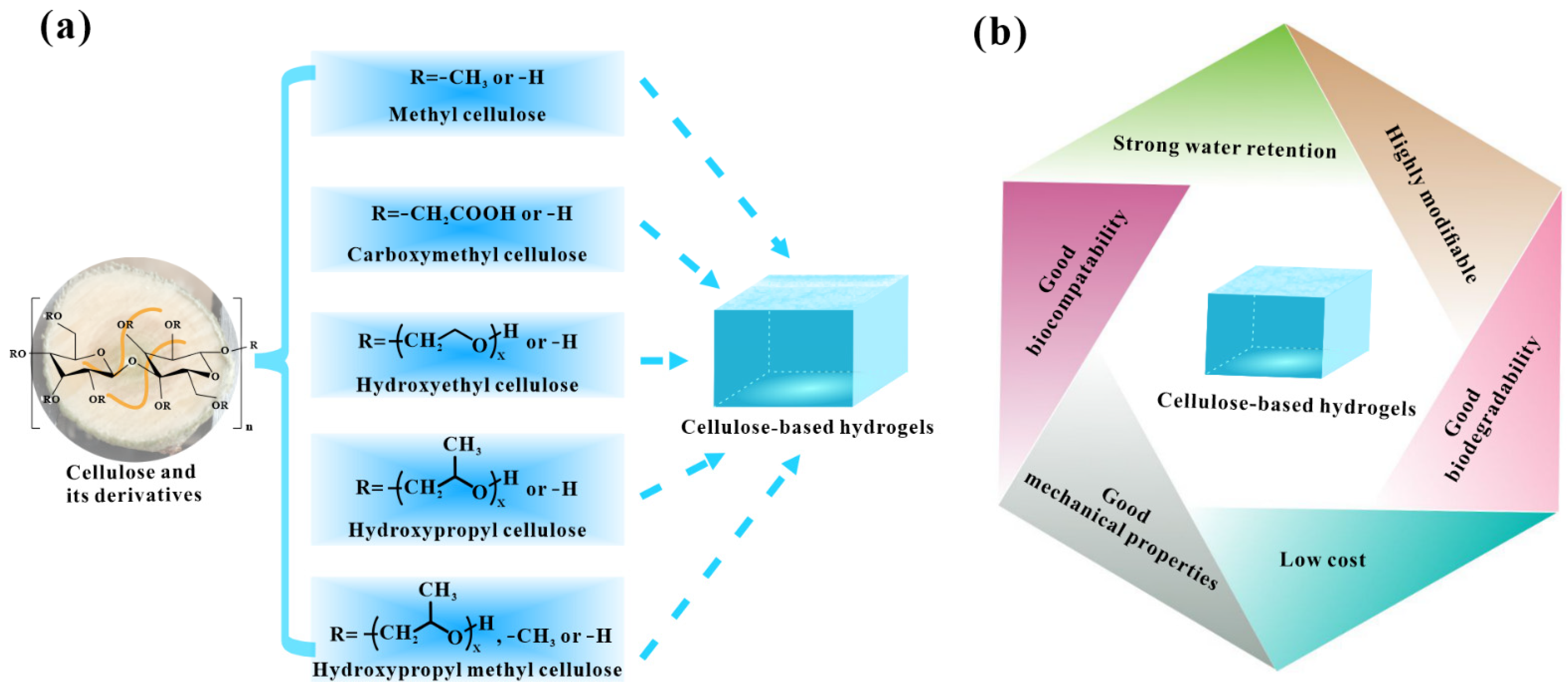 Polymers 14 00769 g001 Polymers 14 00769 g001