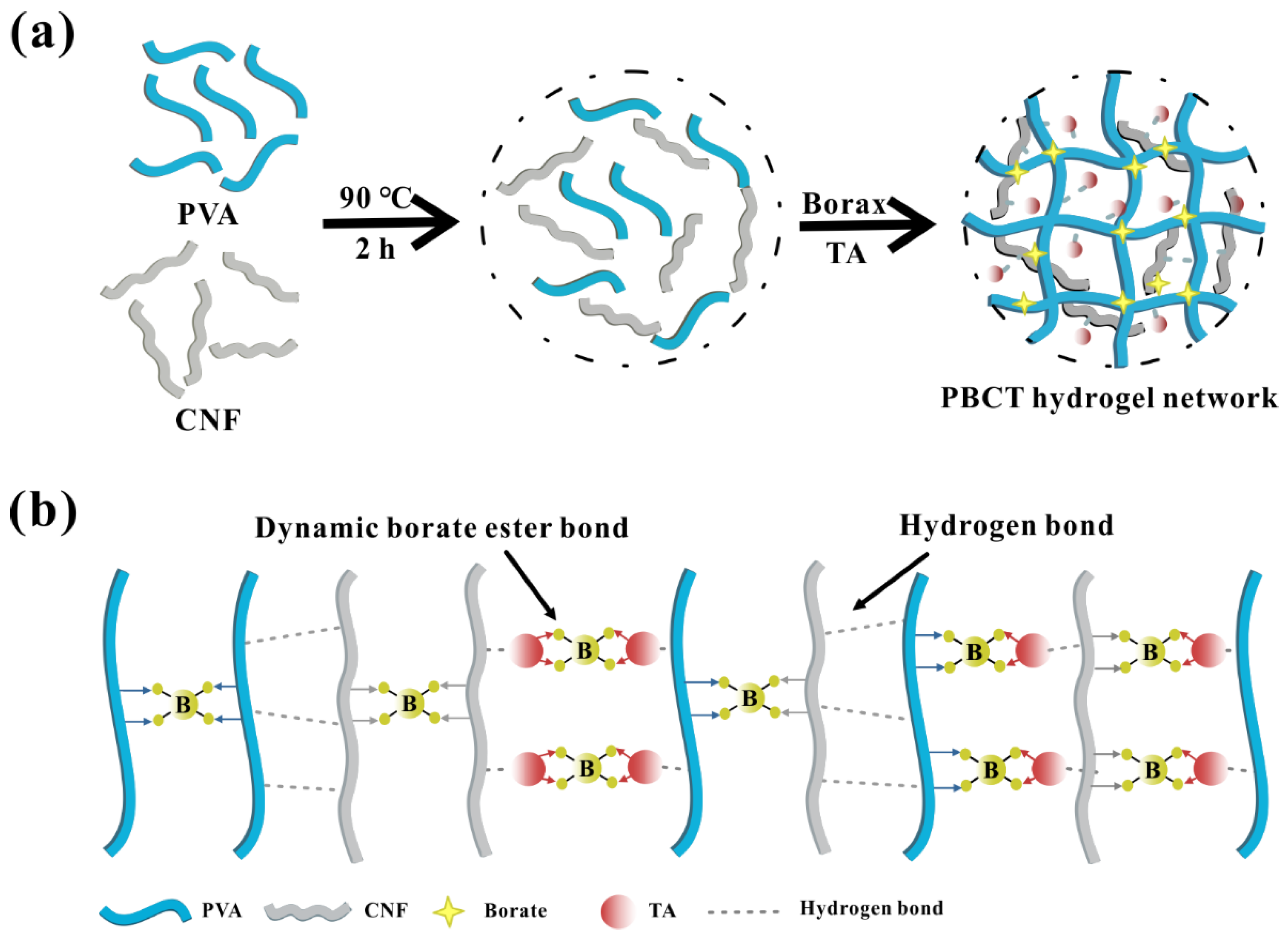 Polymers 14 00769 g004 Polymers 14 00769 g004