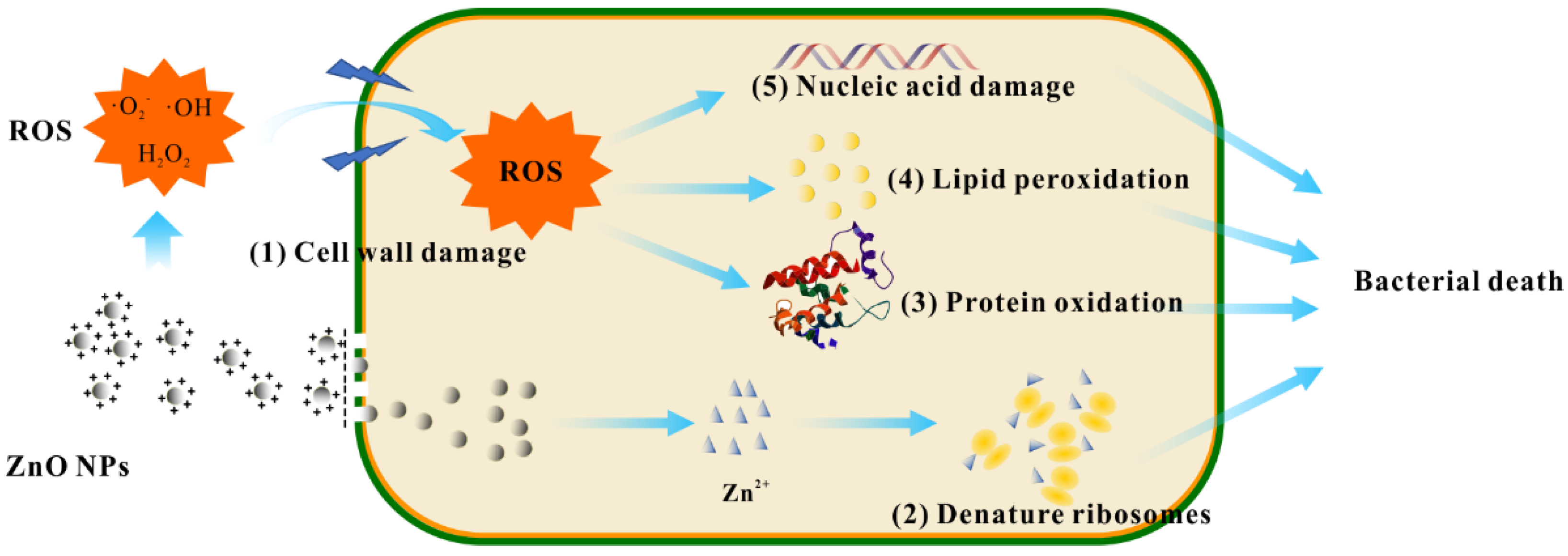 Polymers 14 00769 g006 Polymers 14 00769 g006