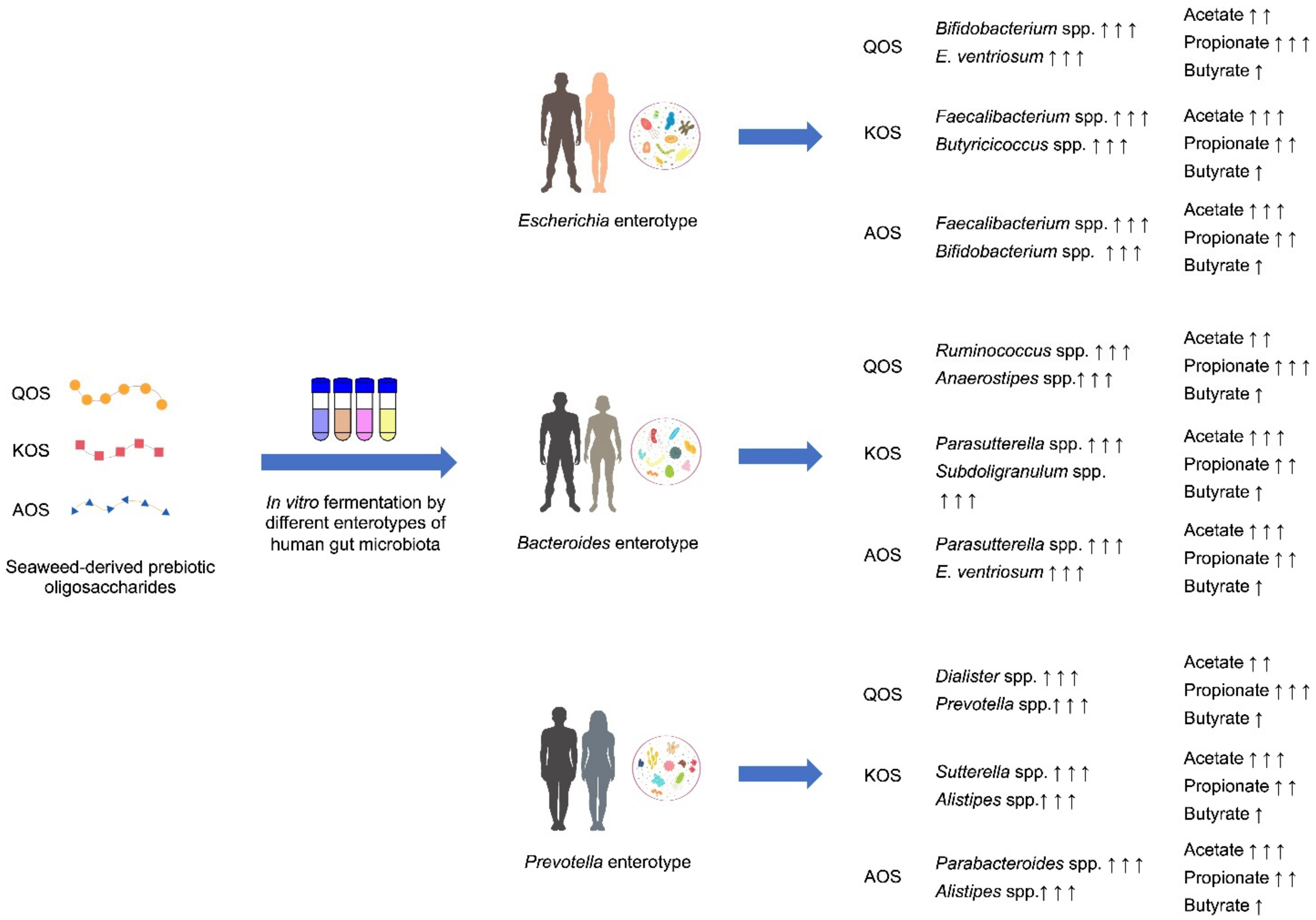 Polymers 14 00770 g008