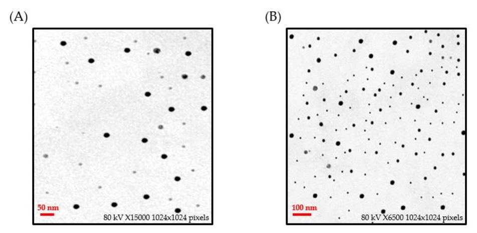 Polymers 14 00771 g003