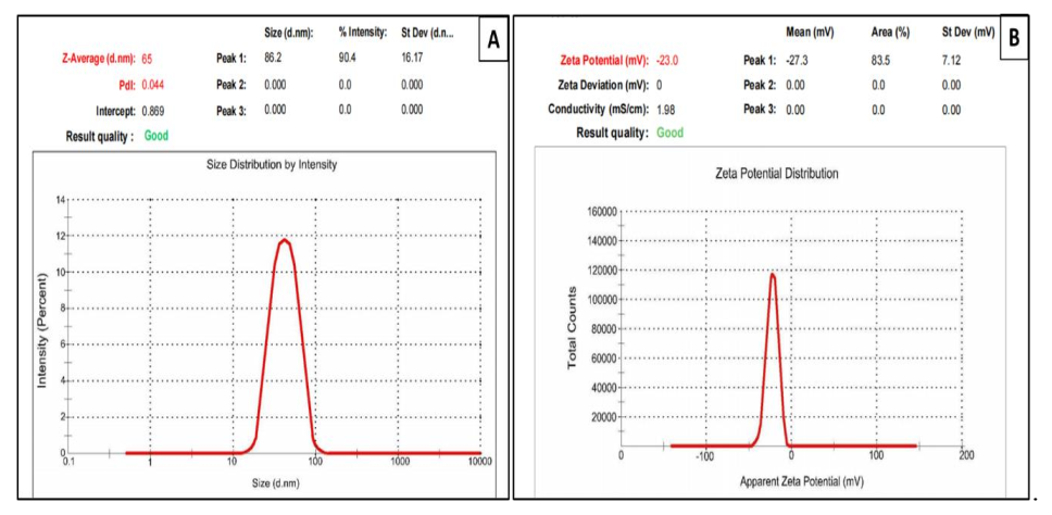 Polymers 14 00771 g004
