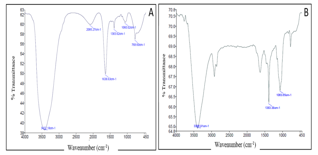 Polymers 14 00771 g005
